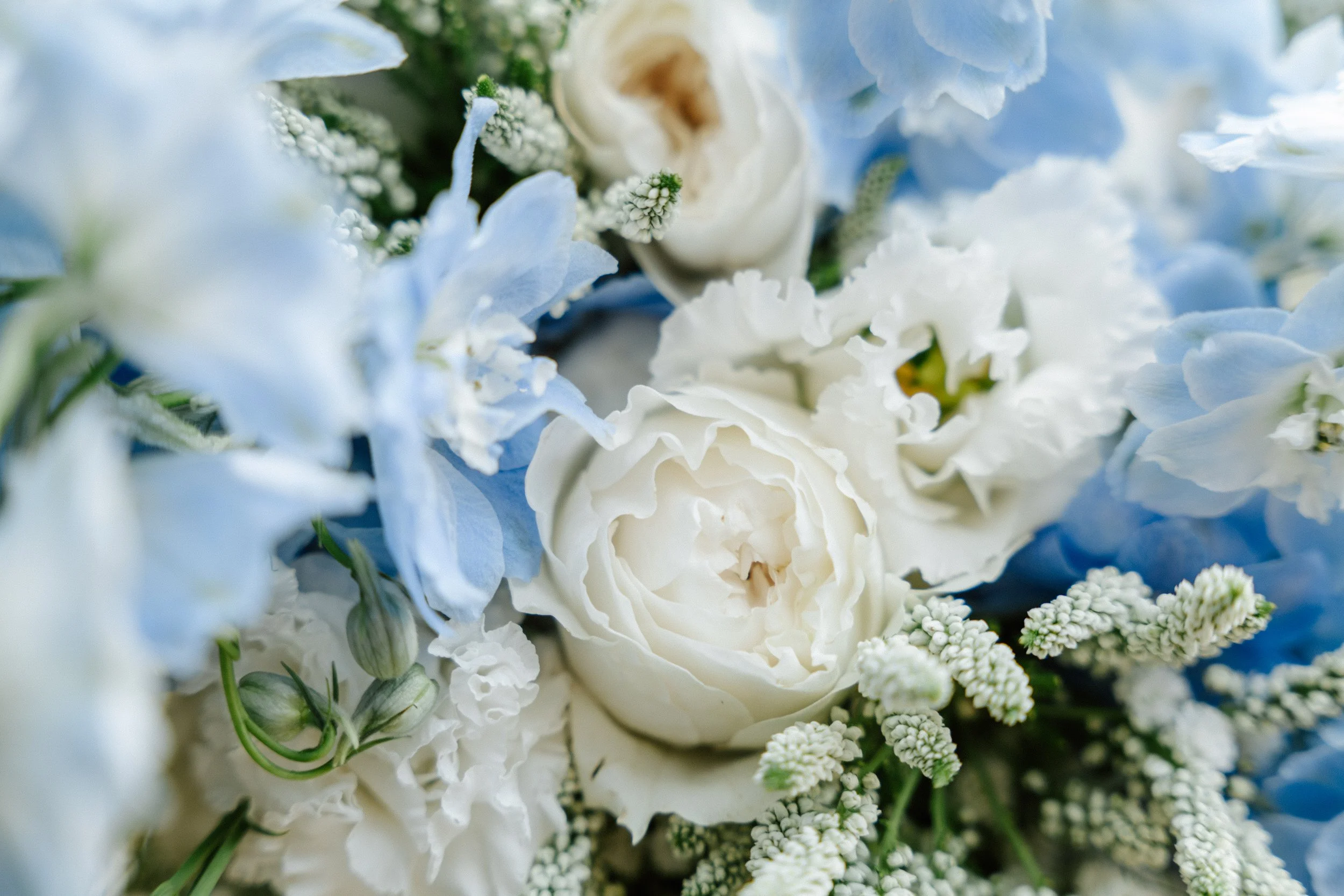 E&F-CharlènePélutPhotographes-103.jpg