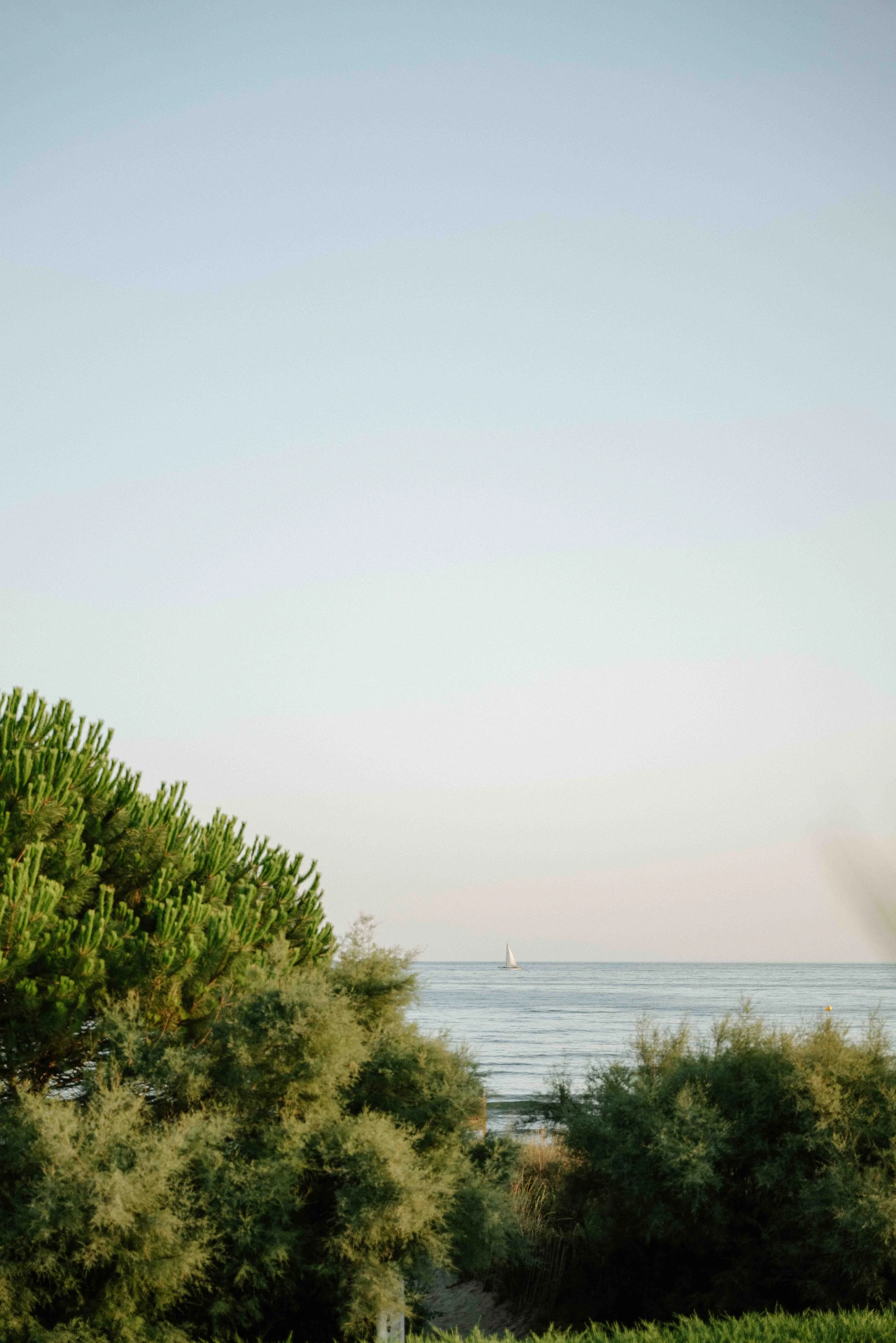 OPHELIEETMARIAN-CharlènePélutPhotographes-729.jpg