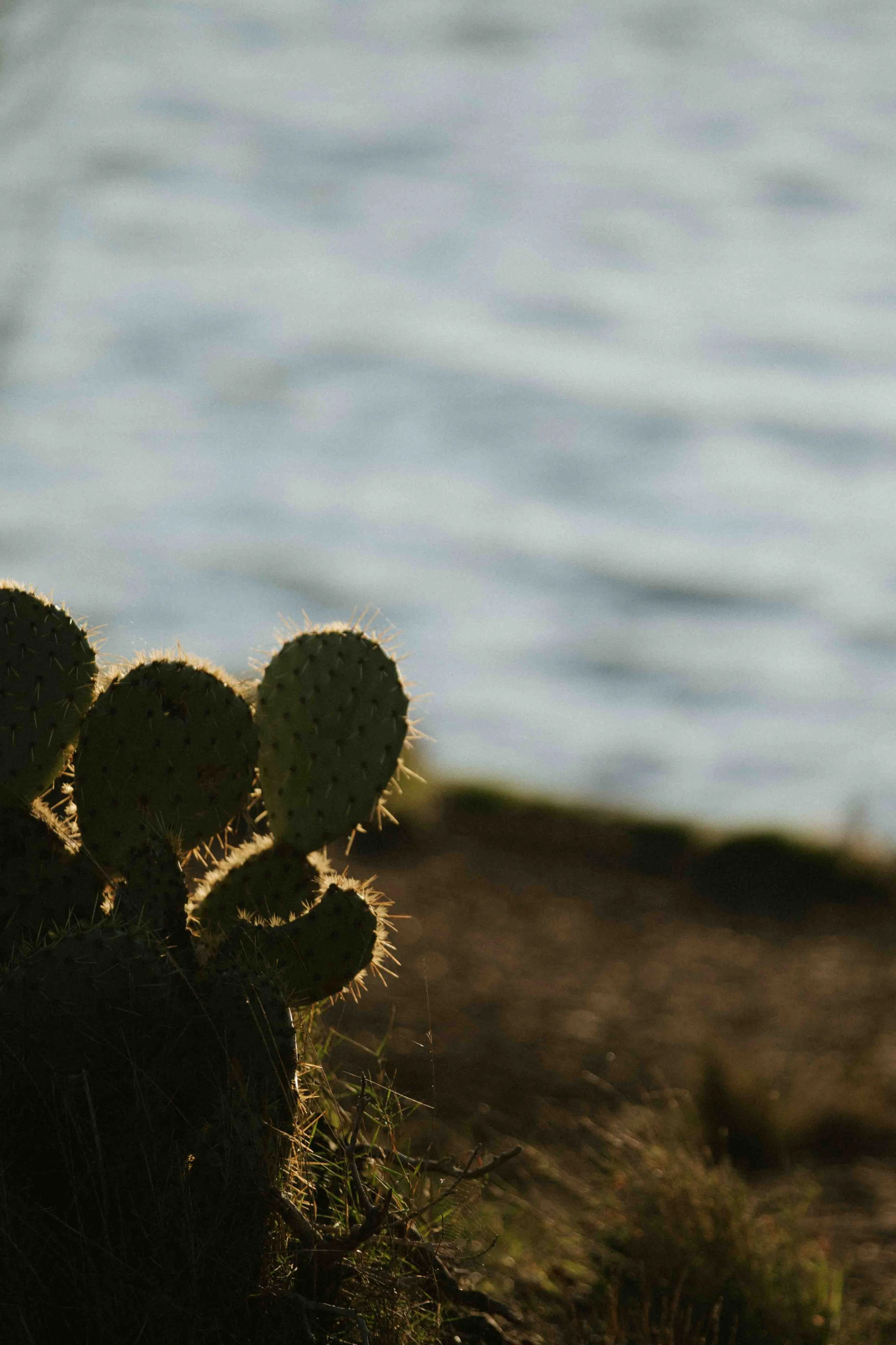1 - @ponthus.nancy - Team Charlène Pélut Photographes-24.jpg