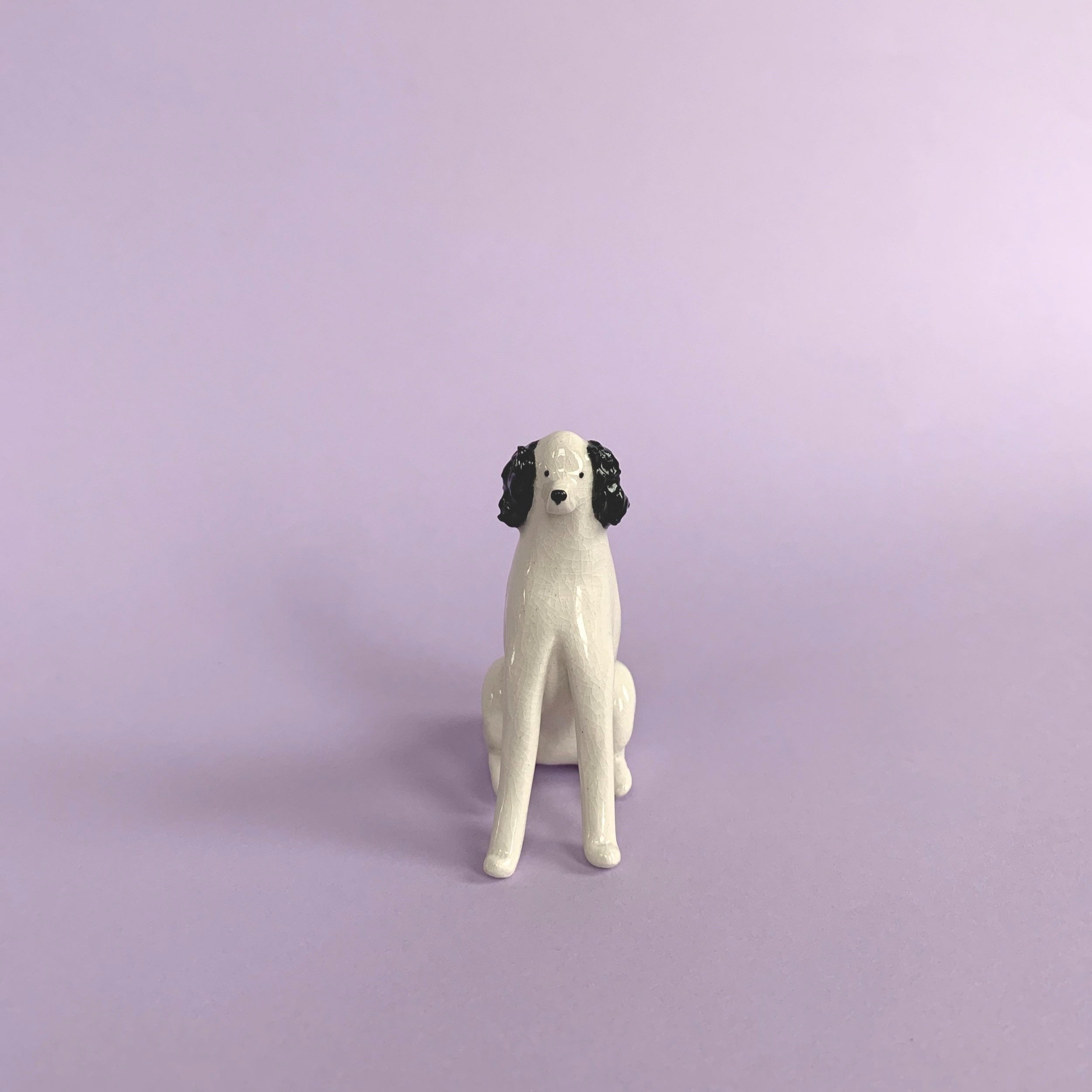 Mono+Poodle_02.jpg