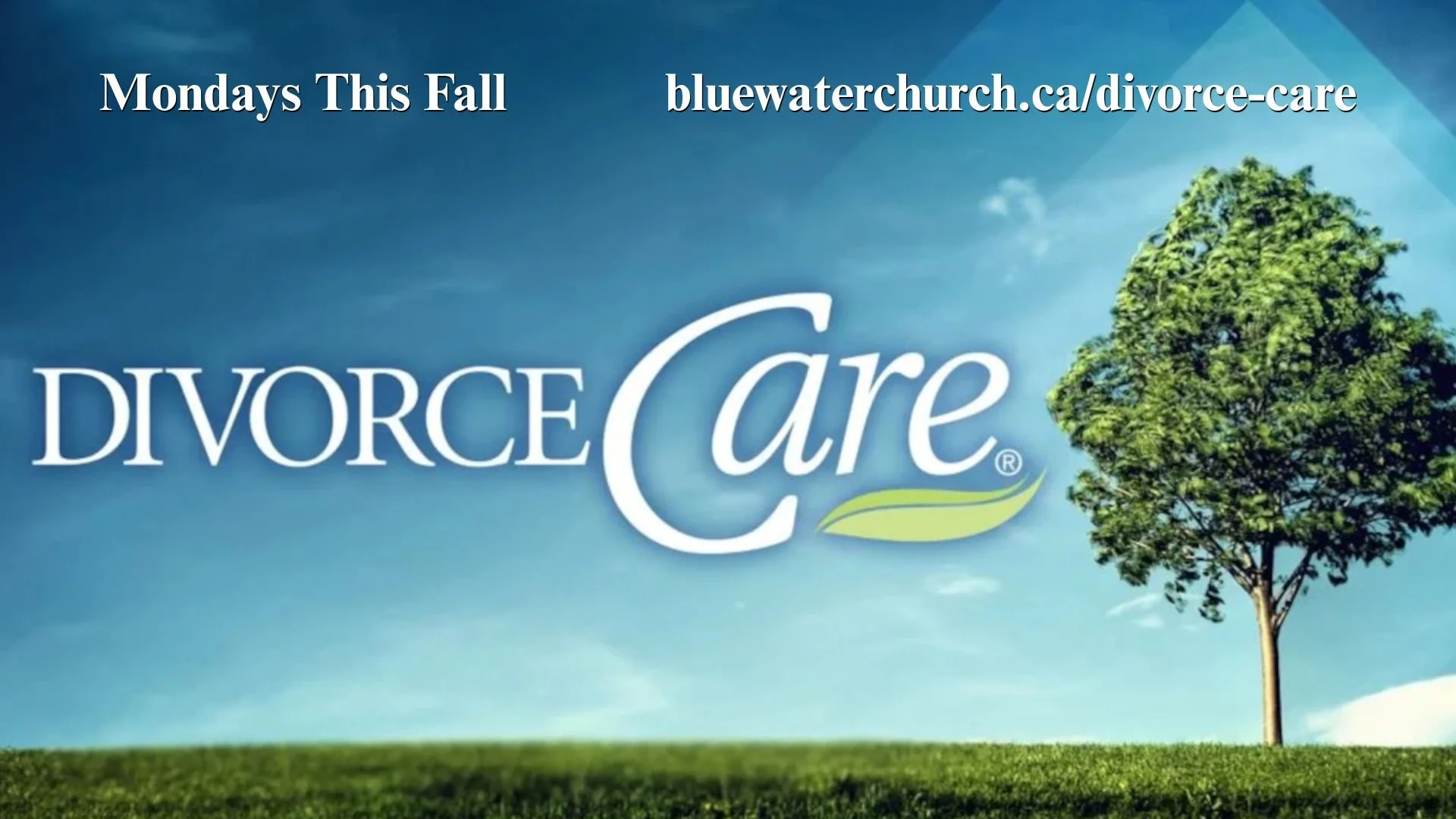Divorce Care.jpg
