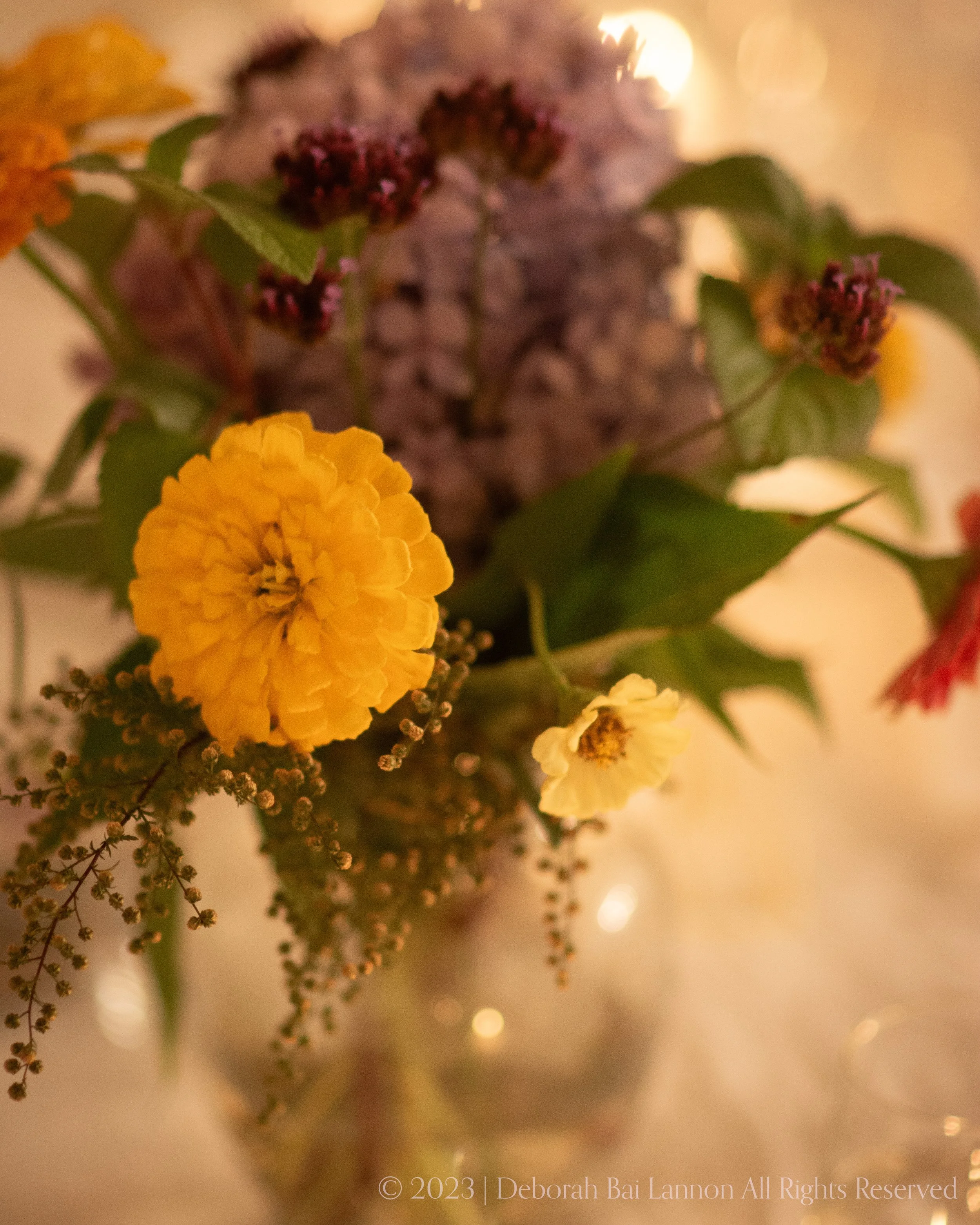 Farm to Table_PP20230929_DSC6480.jpg
