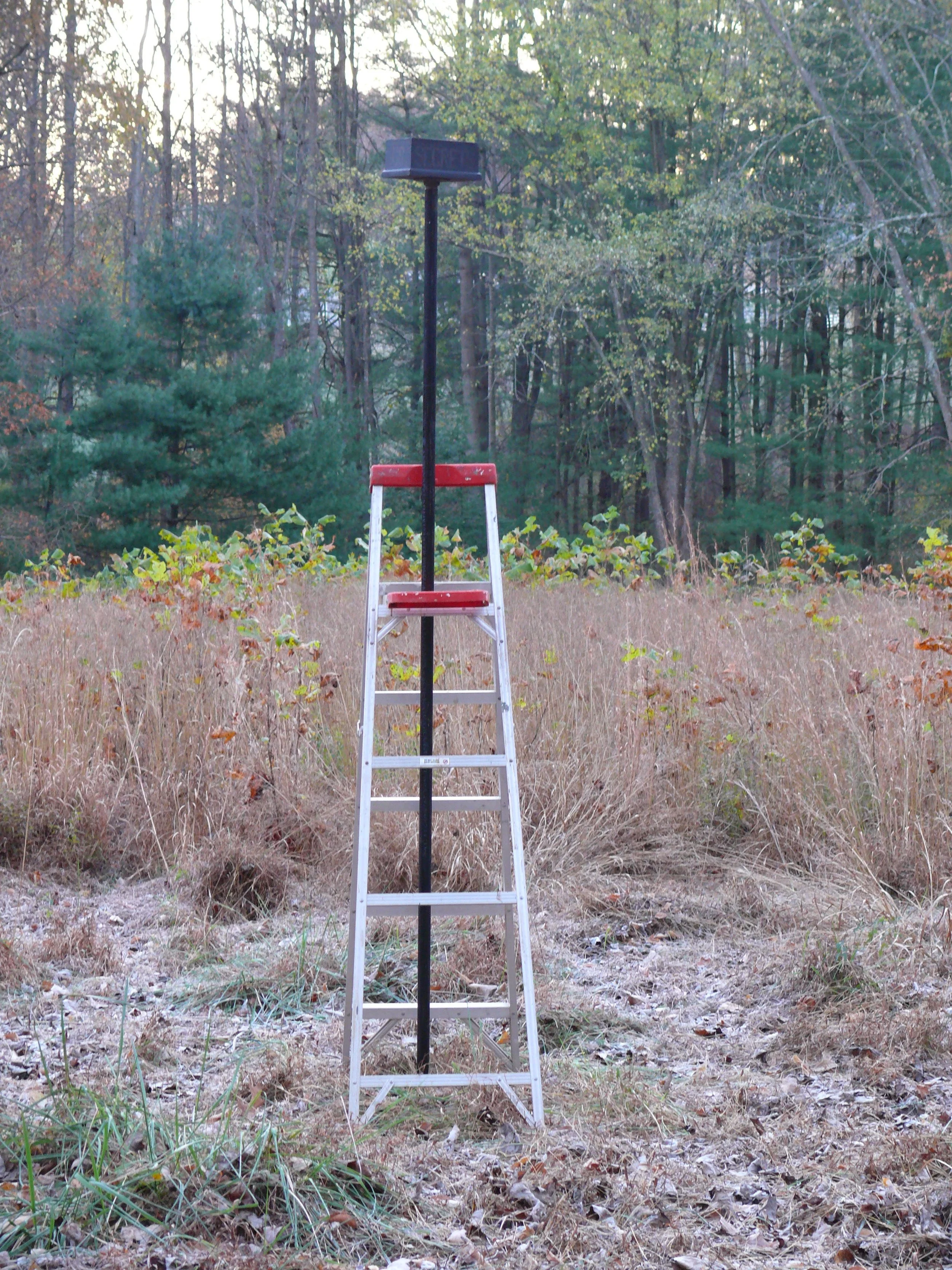 Black Box , 2017, wood, ladder, graphite, post, (text on outer box: US, OUR, SECRETS, THE. Text on inner box: FEAR, DEEP, LINE, IN, TIME)