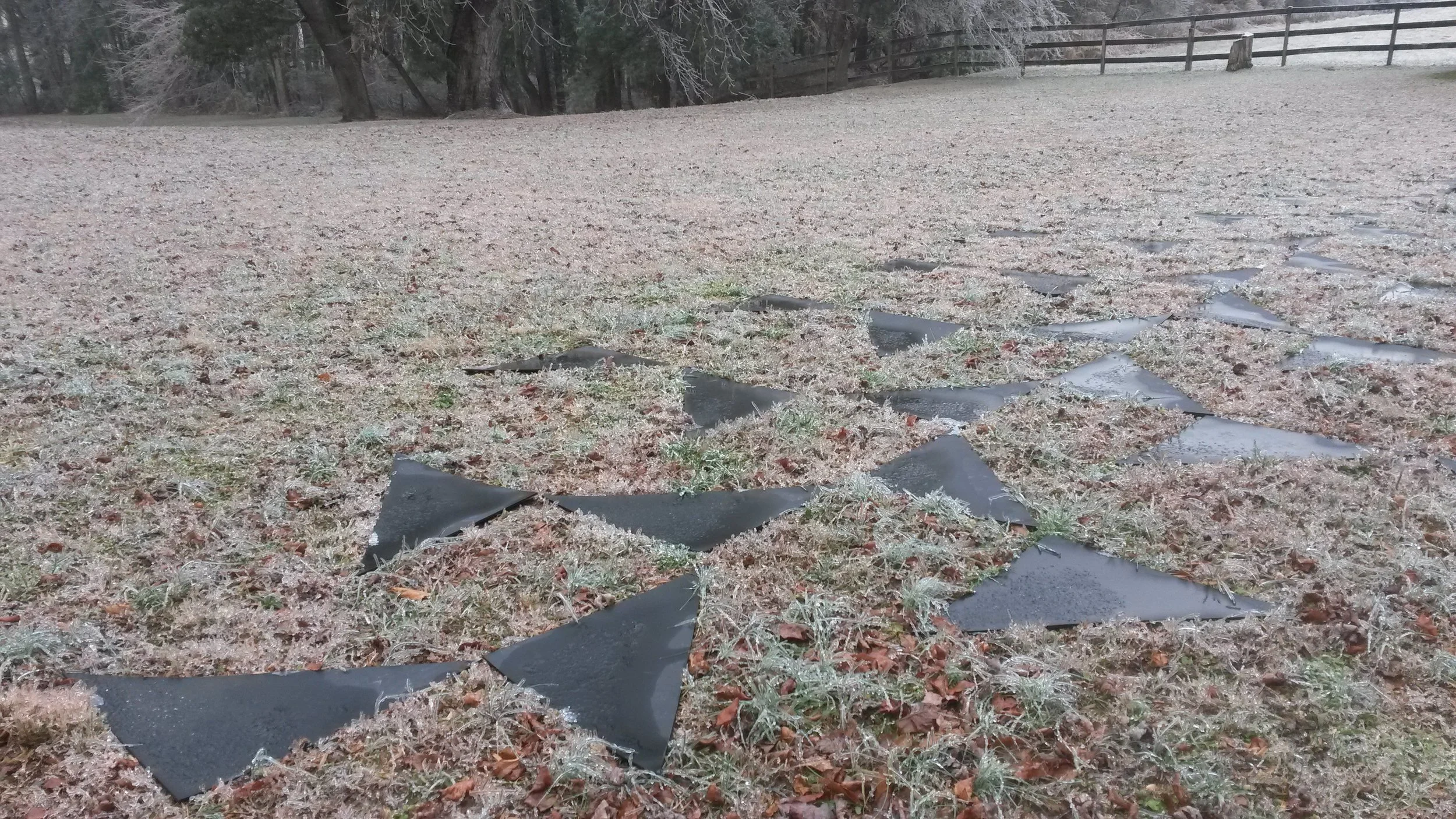 Triangles in Grass.jpg