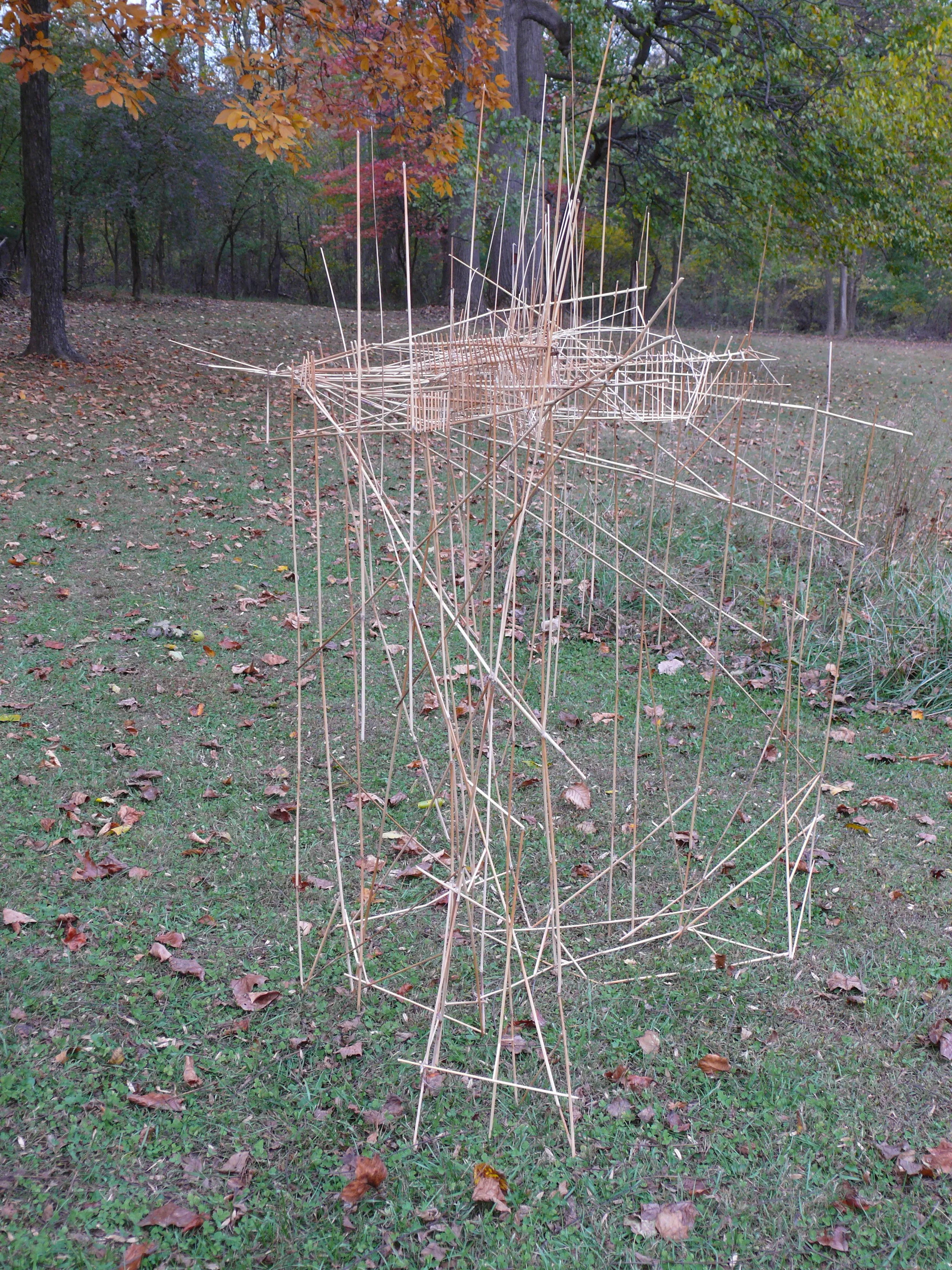   Vacant Body: Big Bluestem , 2016, grass shafts, hot glue, approx. 5’x4x4’ 