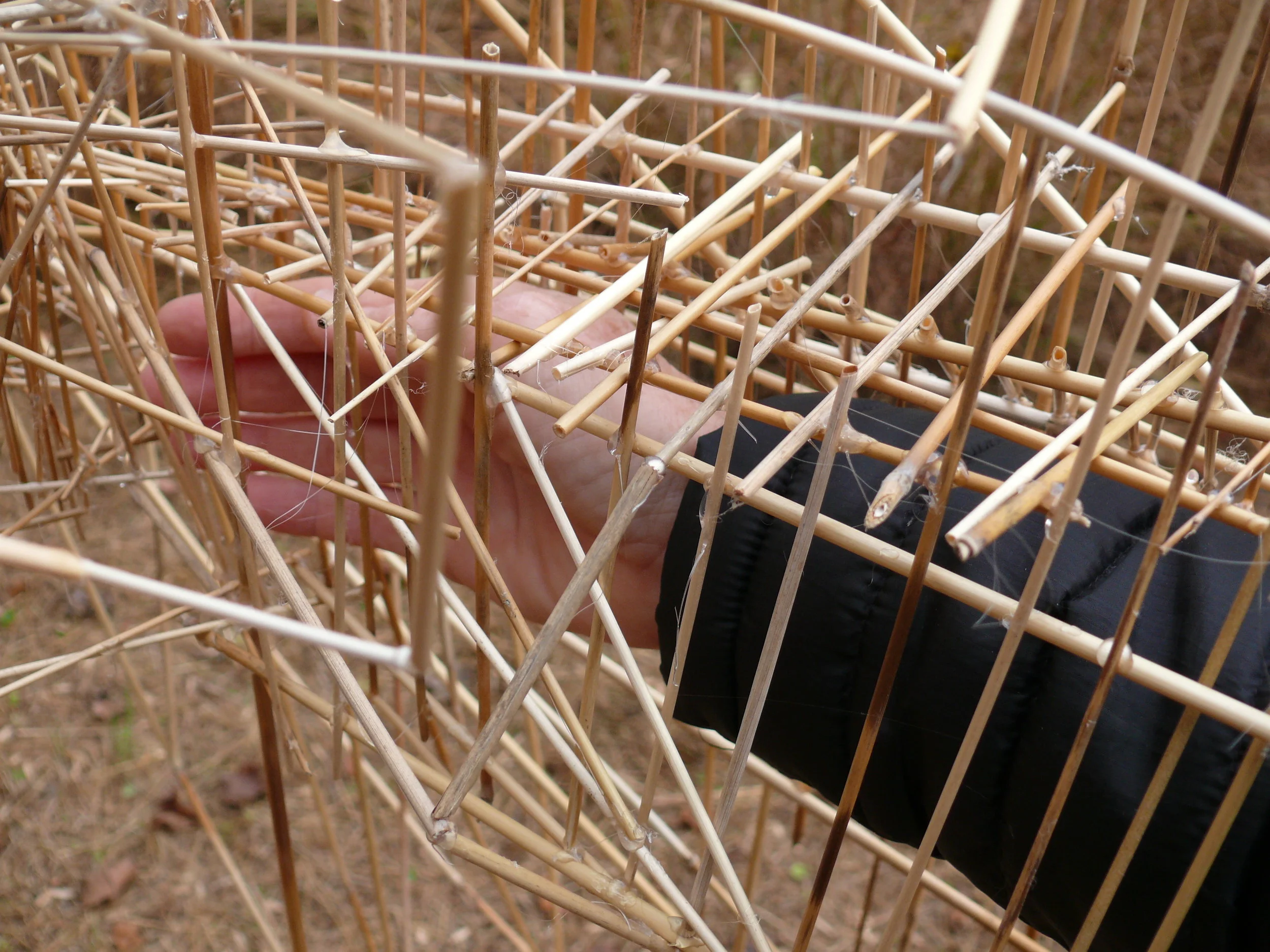  This work was made so that two arms can move into two vacant cavities when approached from one direction after walking on a path through Big Bluestem grass.  