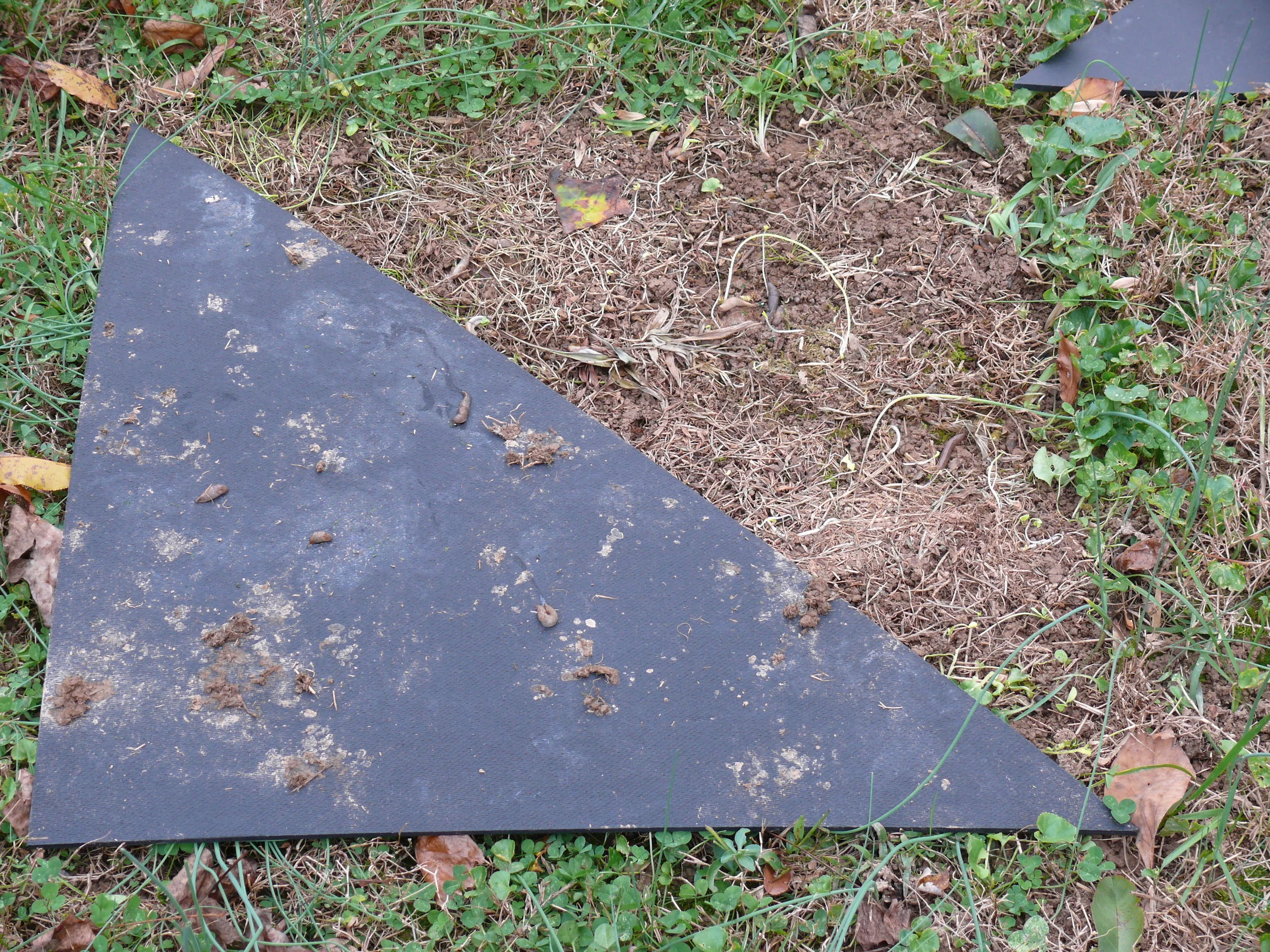 Triangle Masonite Panel Grass Drawing_Flipped Panel1.JPG