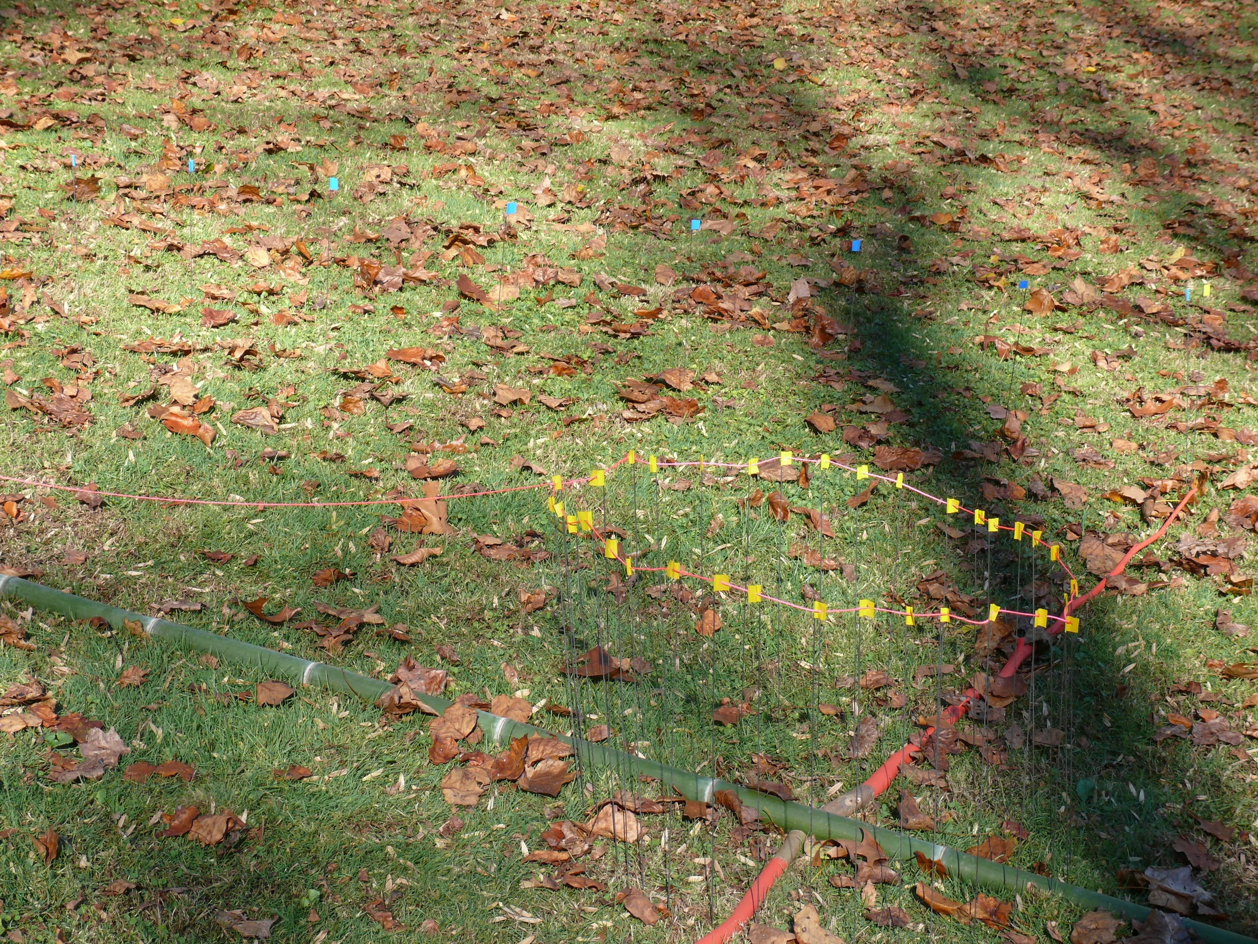  This was an experiment toward seeking to make a drawing that uses the grass as the page, and string/flags as points and lines. How might the lines levitate above the grass?  Humans have long mapped &amp; marked the land. This is a temporary land-map