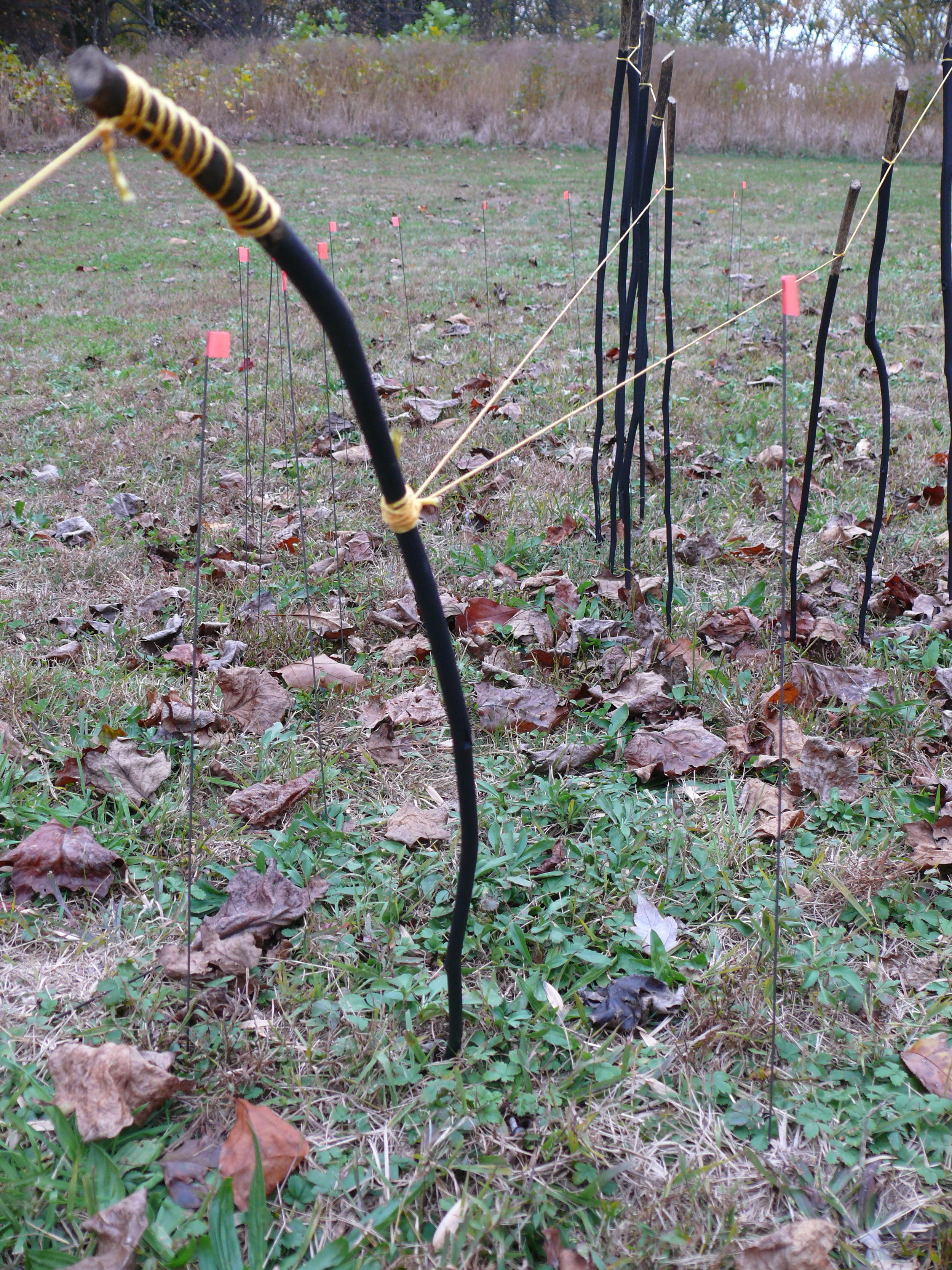   Launch , 2016, Tulip Poplar Saplings, string, flags: land drawing on sloped hillside. 