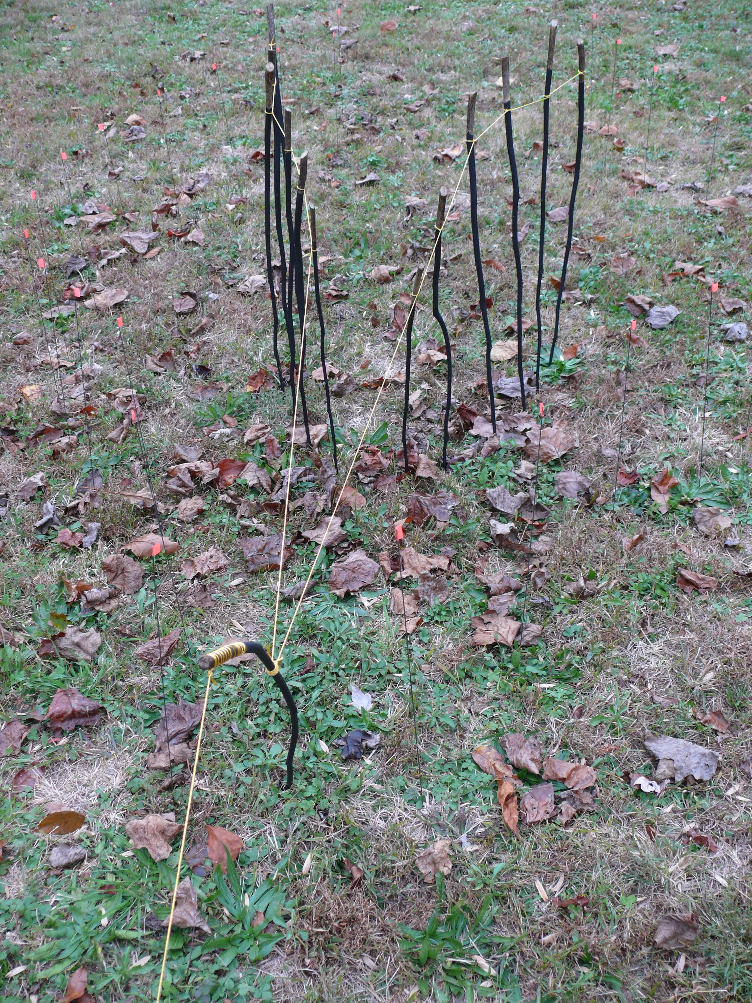 Adjacent Body IIUnfinished_4.JPG