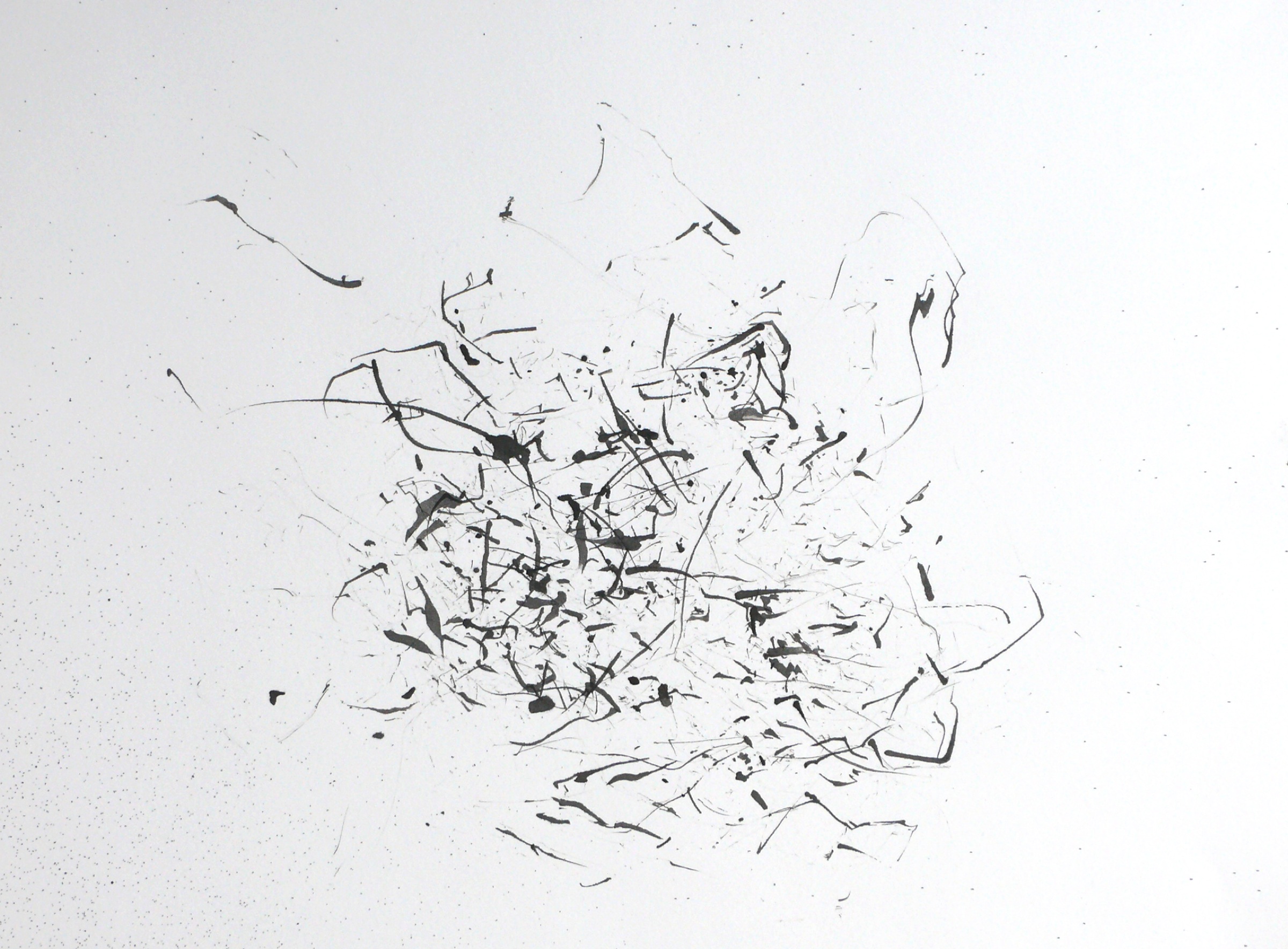  Detail:  Wind blowing ginkgo leaves , ink on paper, 24 x 18” 