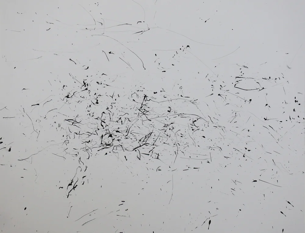 Switchgrass Recording, 2009, 18 x 24"”