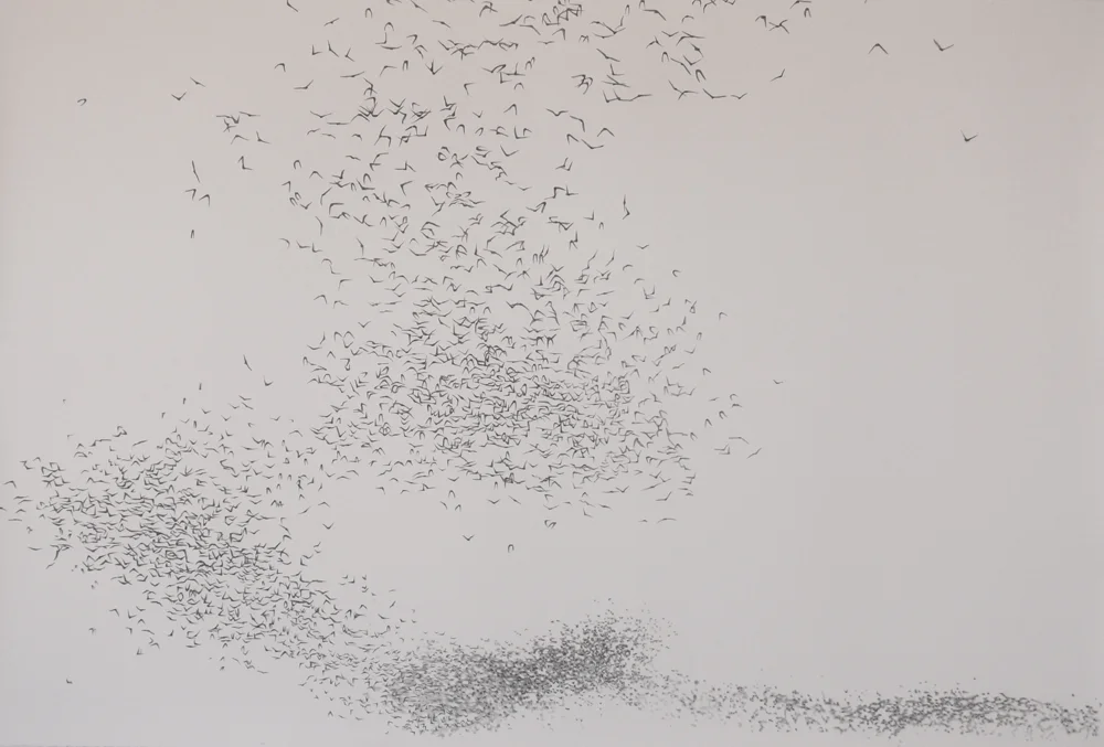 Migration Series: Bats , 2009, graphite on paper, 52 x 72"