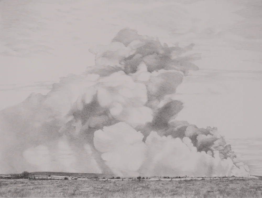 Bitter Lake Grass Fire , 2009, graphite on paper, 22 x 30"
