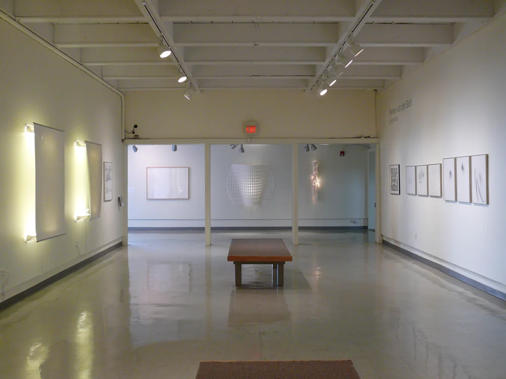 Global/Local , Roswell Museum and Art Center, Roswell, NM 2009