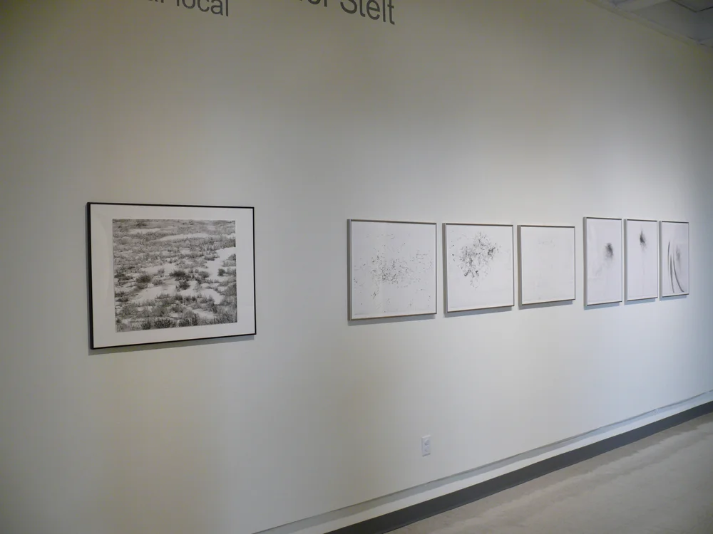 Global/Local , Roswell Museum and Art Center, Roswell, NM 2009