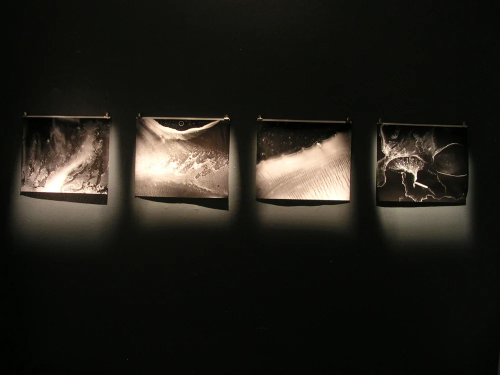 Installation view: printed glass plate ink drawings, School 33, 2005