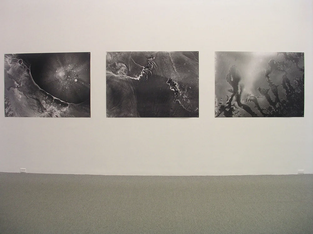   3 Digital prints  from enlarged portions of photographs of  4” x 5” glass plate ink drawings. (Plates were set on light box to be photographed.) Baltimore Museum of Art.  