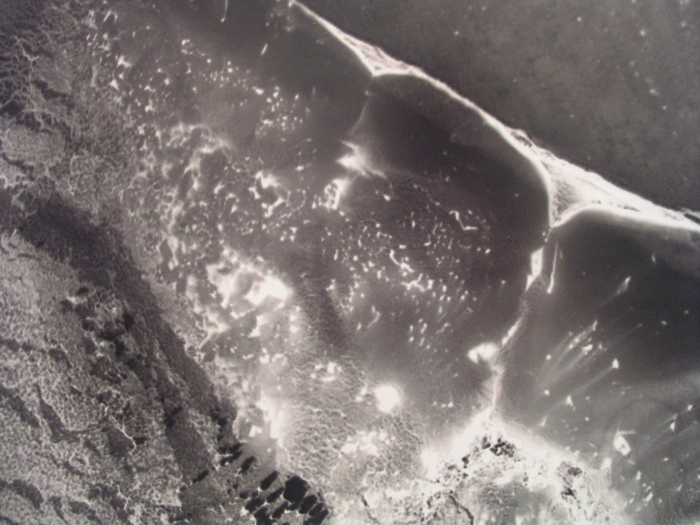   Detail: 3 Digital prints  from enlarged portions of photographs of 4” x 5” glass plate ink drawings.  