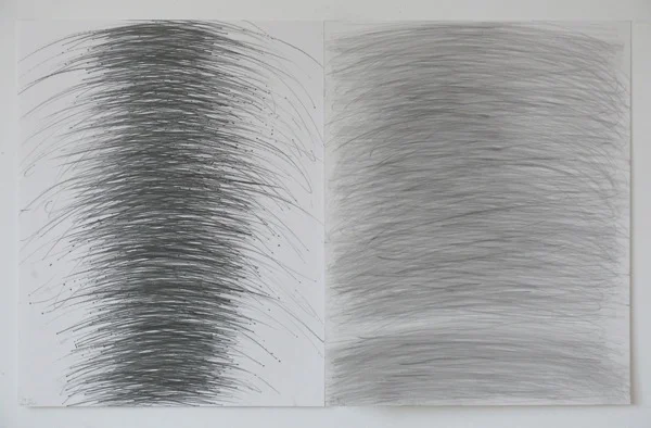 Diptych Action 1:9:2013.JPG