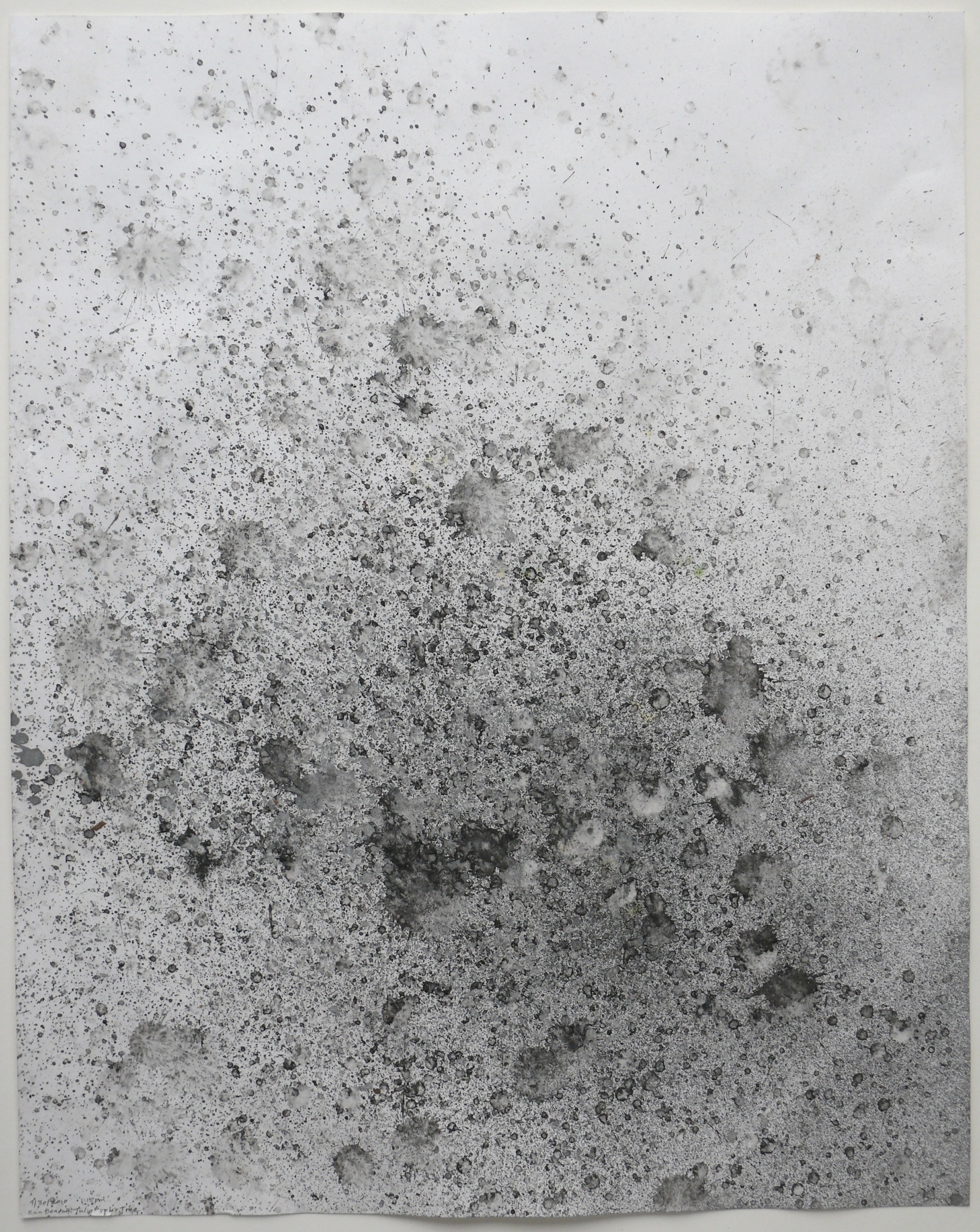  Melting snow &amp; ice drips w/ tree above paper, 2011, 24 x 18” 