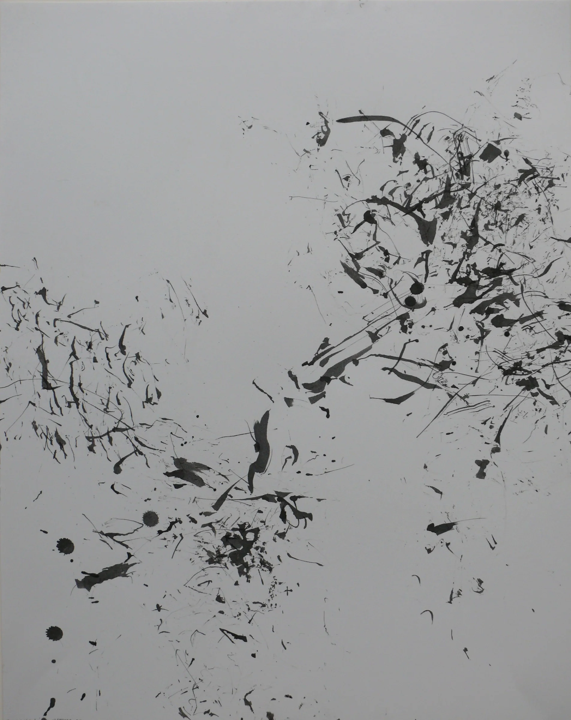  White Pine recording, 2010, 24 x 18” 