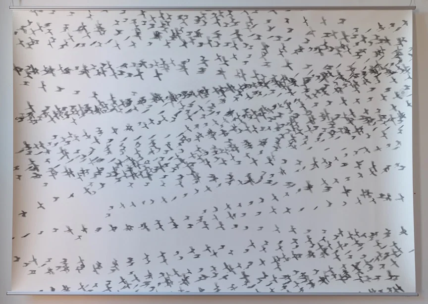 Four Seconds to Target , 2016, graphite on paper, 70 x 52"