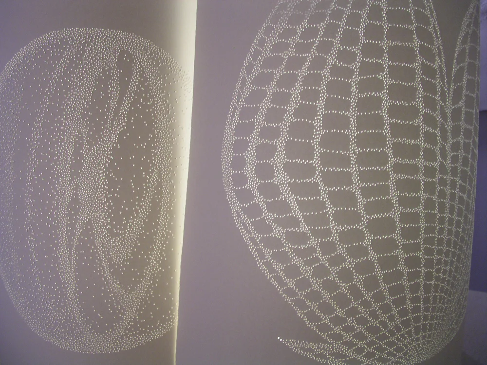 Three Flat Maps Curled , 2004, paper, 17 x 60"