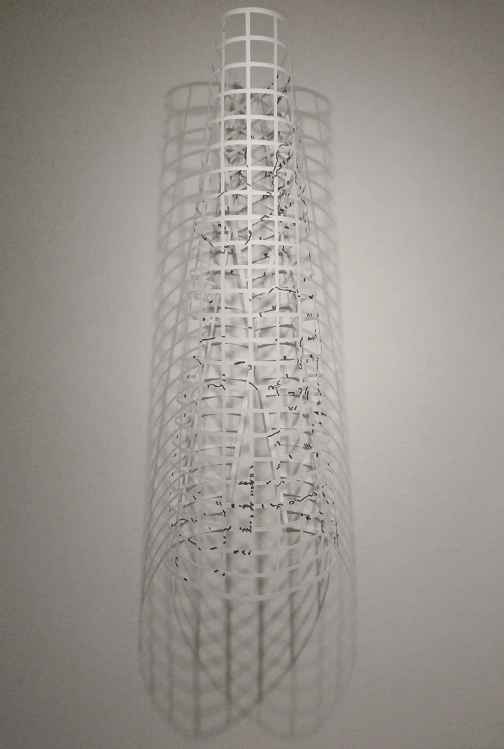 Longitude/Latitude & Northern Continent Lines , 2008, graphite on paper, 51 x 42 x 10"