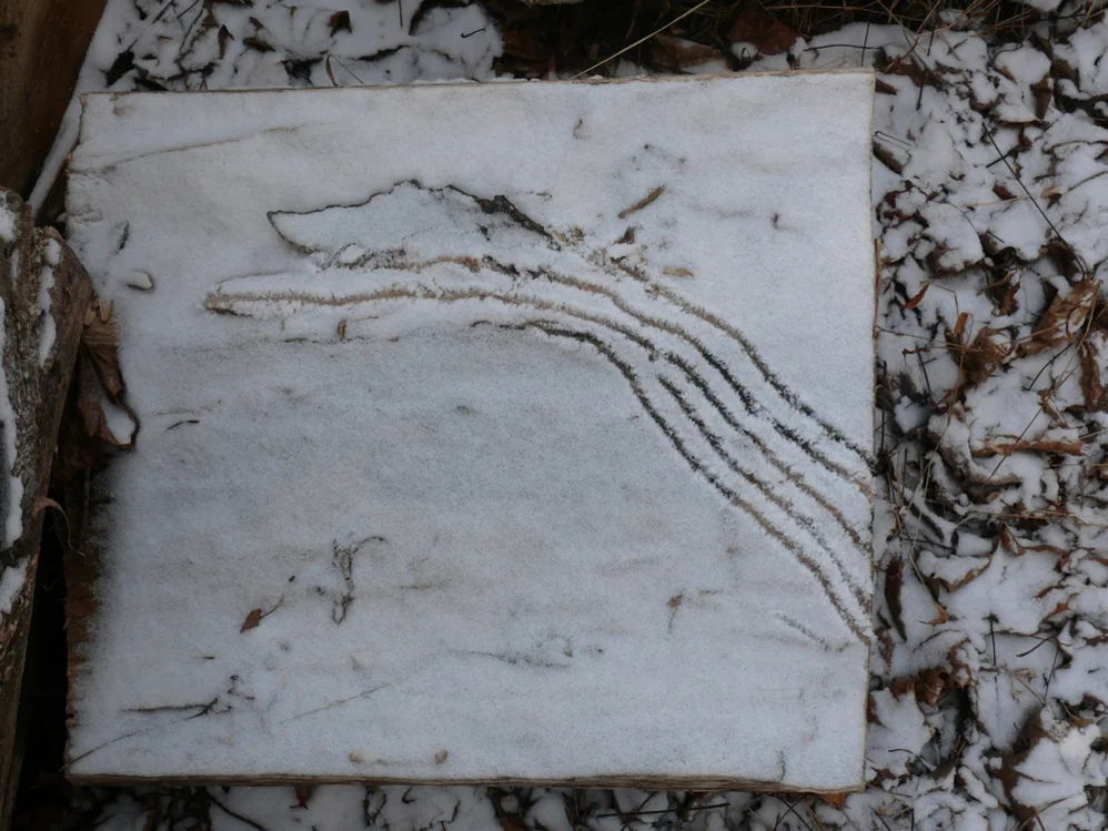   Response 1 , 1/24/2013, snow drawing with leaves 