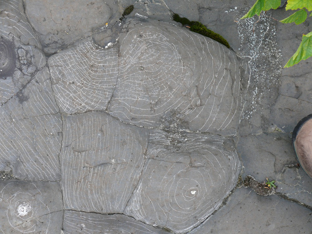  Detail:  Isle Royal Drawing 2 , 8/4/2012, white stone line drawing on Basalt 