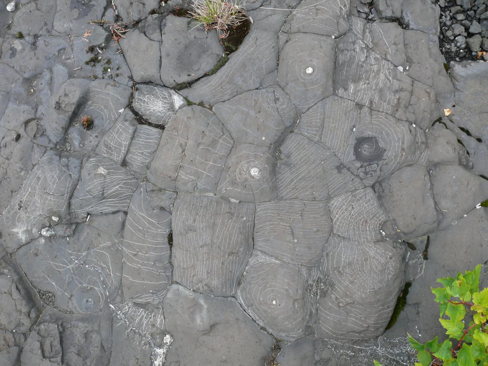   Isle Royal Drawing 2 , 8/4/2012, white stone line drawing on Basalt 