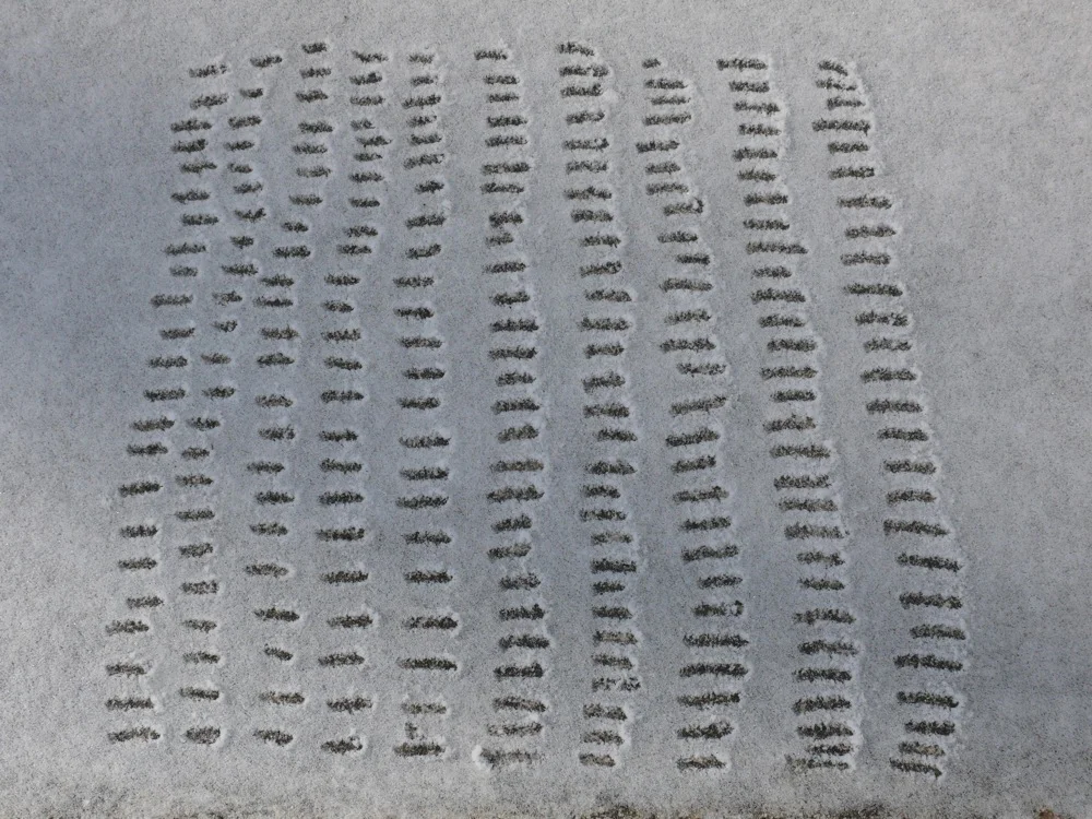   Response 6,  02/29/2011 