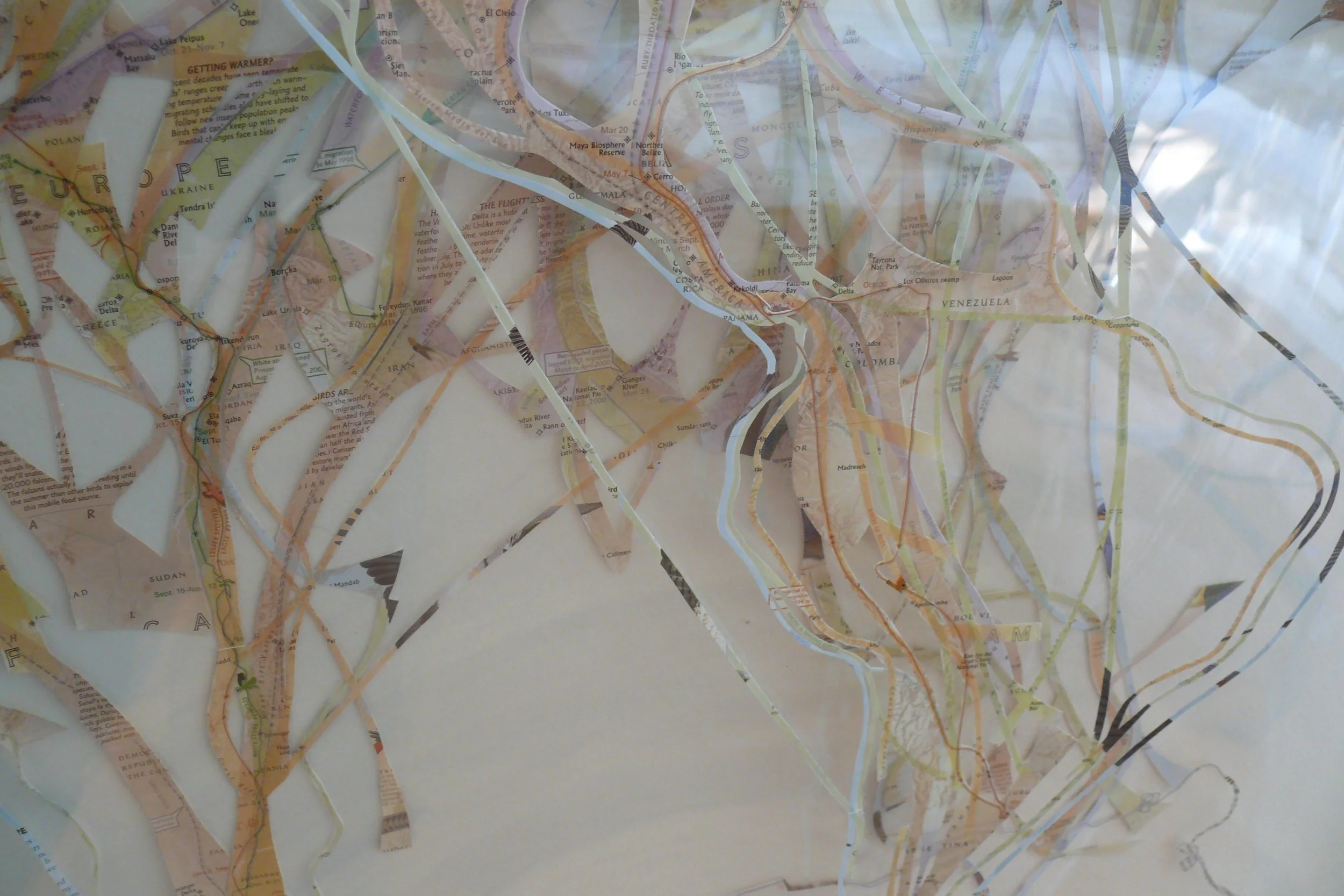  Detail:  Bird Migration Map,  2015, paper, thread, Mylar, 40 x 31.5” 