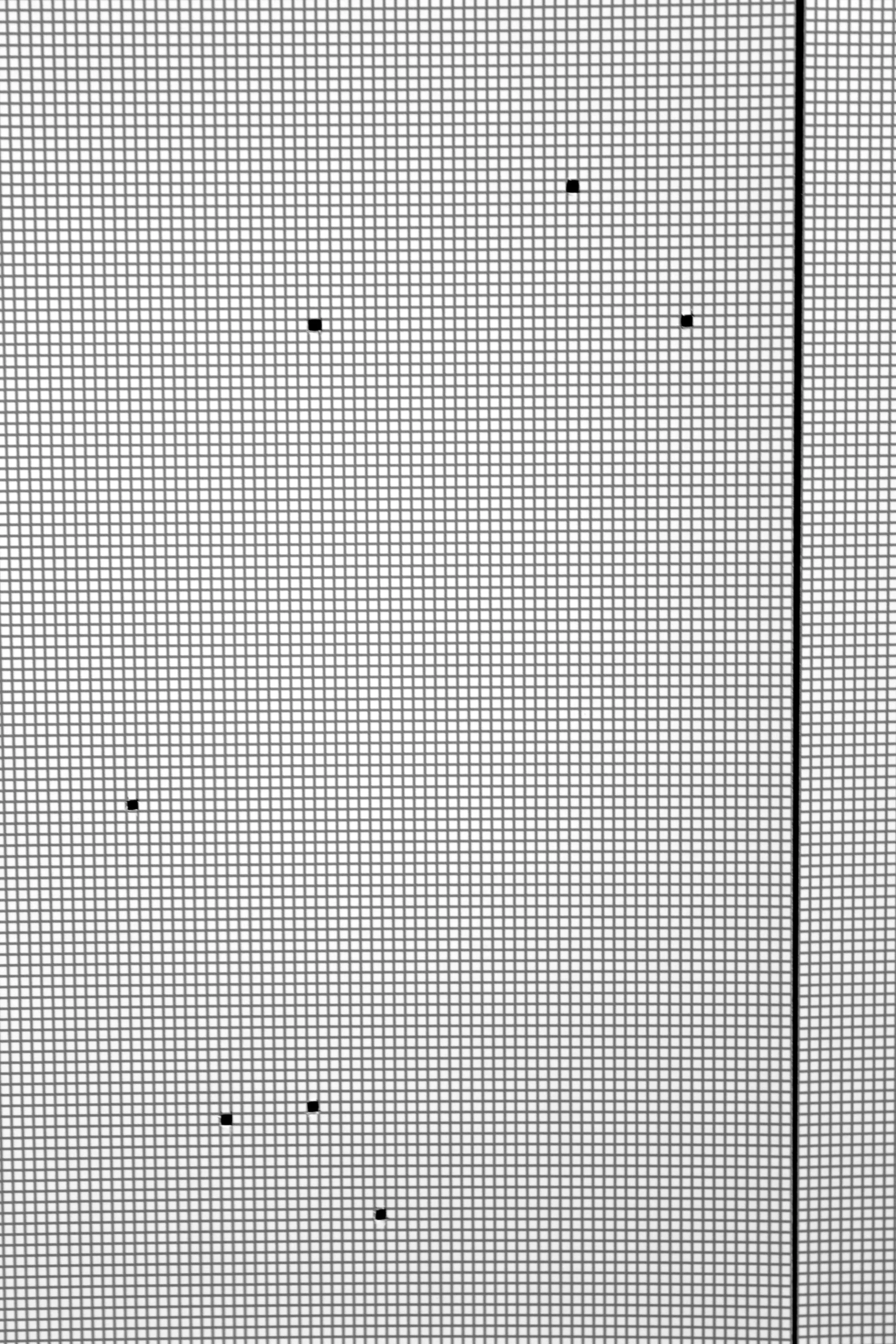  Detail of pages with 1/6” grid. Each square represents one person, adding the total number of migrants across the globe in 2015. Some of the squares cut out to emphasize the individual scale of each.  Borders &amp; Migration: Shifting Geographies , 