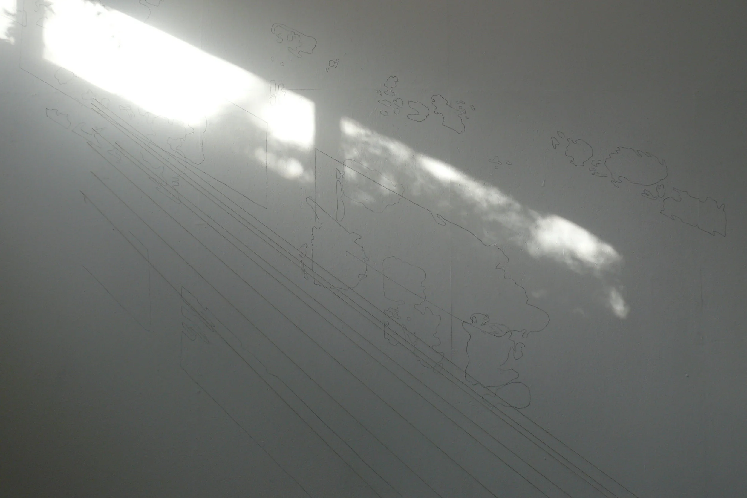  Still of Video from Artist Residency, Kaus Australis, Rotterdam, NL 