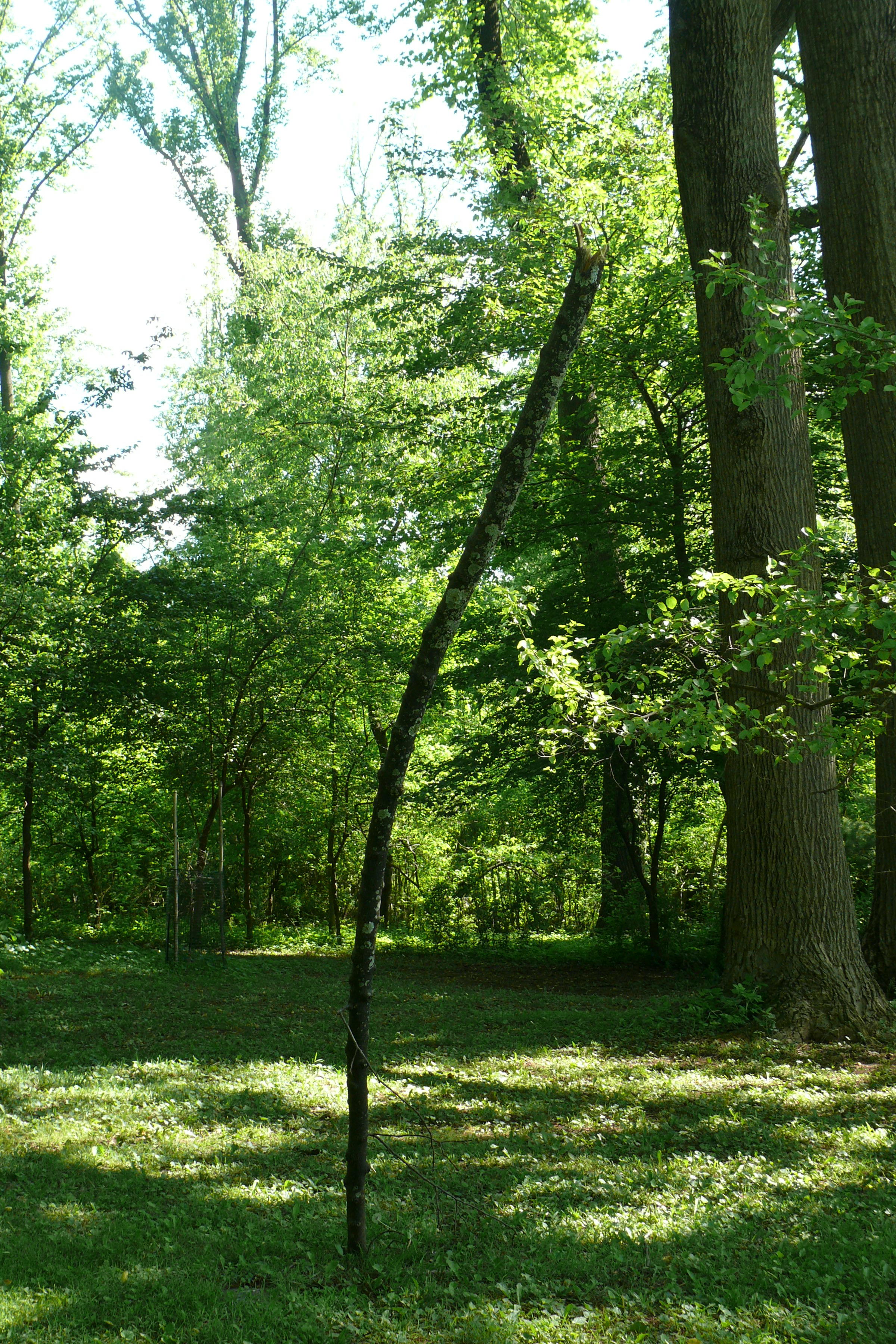  Video still from ‘ Frame/FittingIn’  on   Vimeo. 