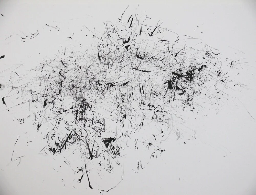 Grass Motion in Wind 10/10/2008 , grass seed dipped in ink & held to paper, 19 x 24”