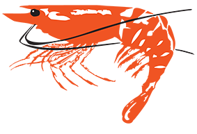 Prawn.png