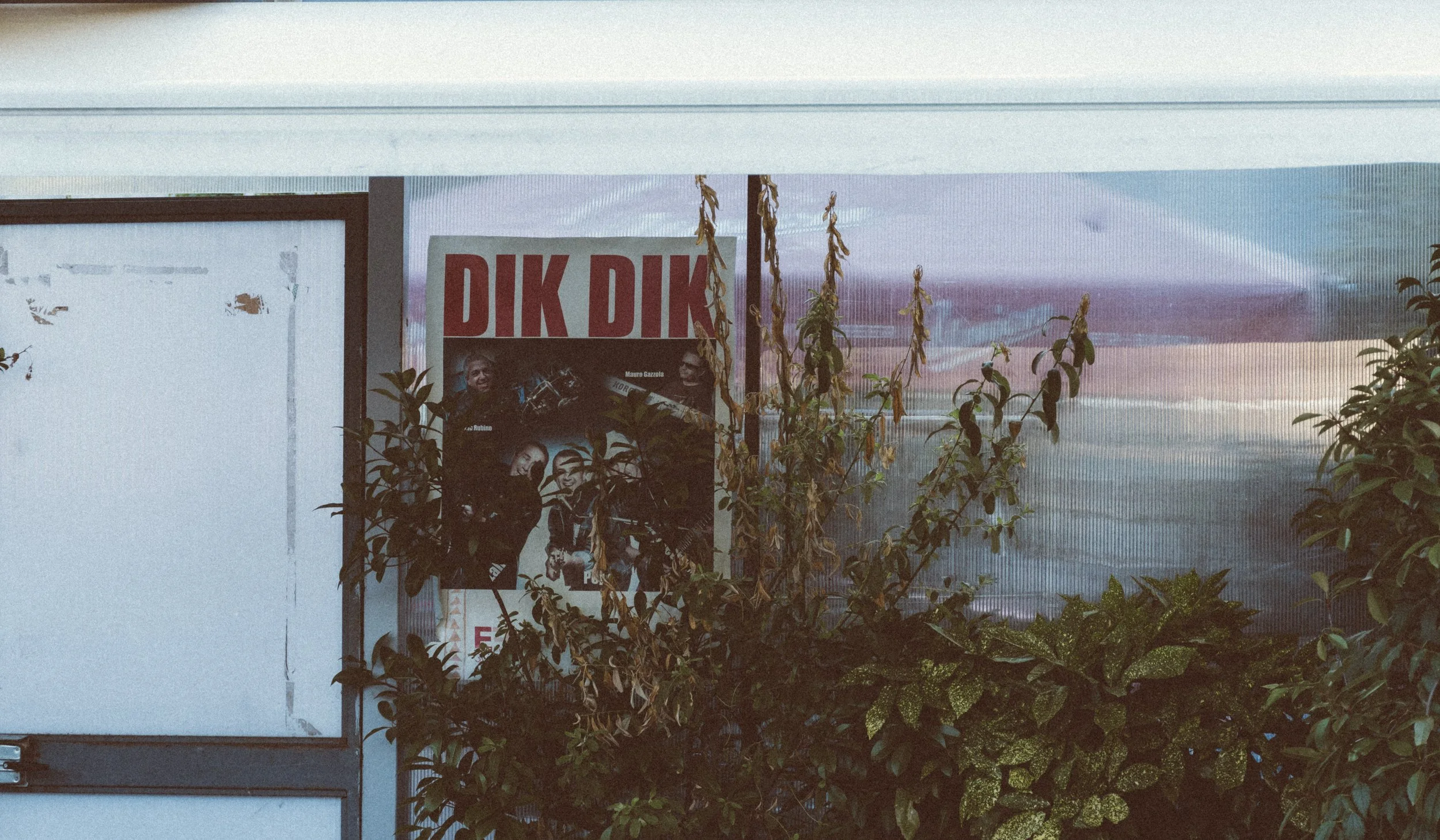 DSC_0021.jpg
