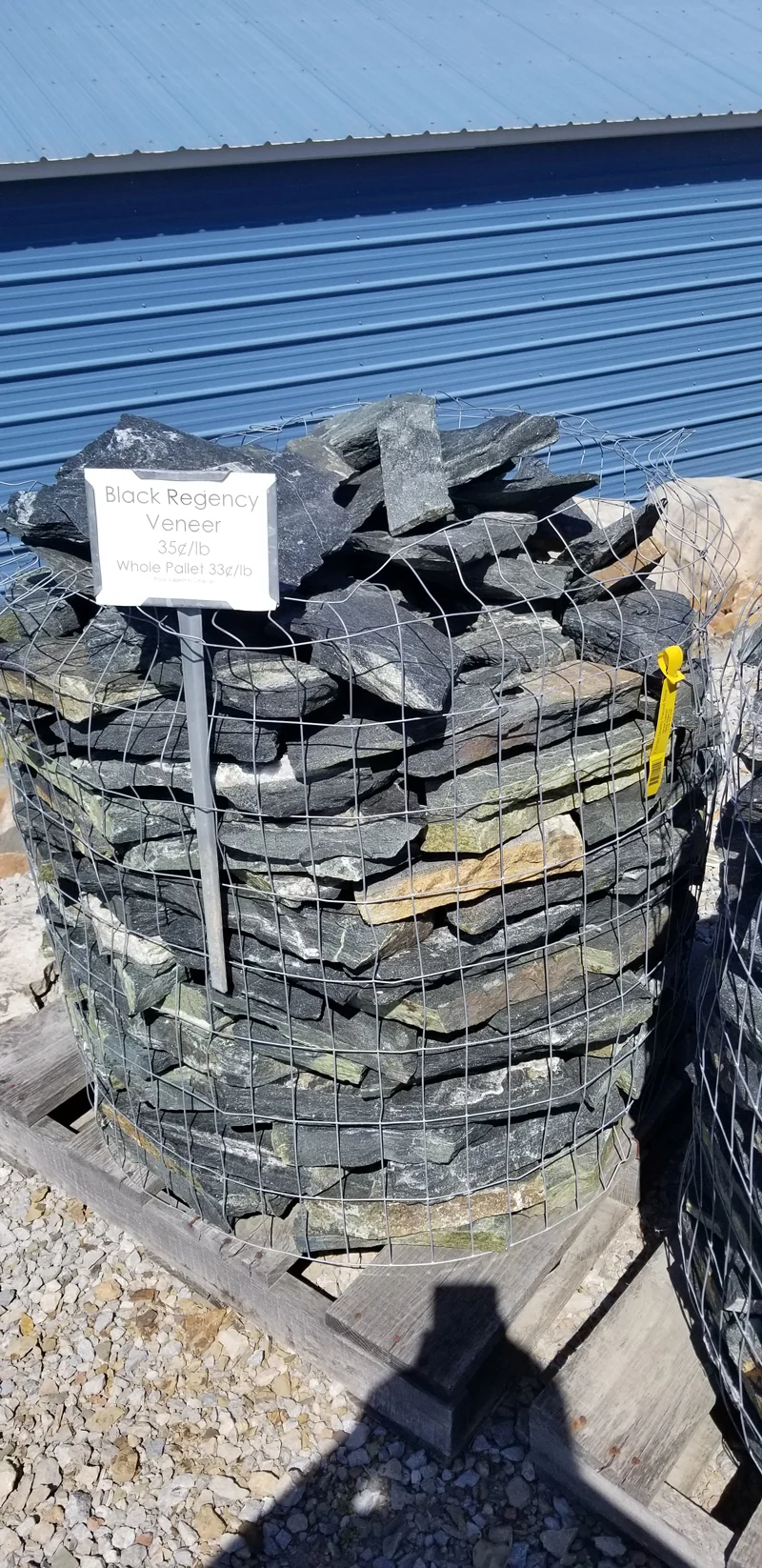 Midnight Blue/Black Regency