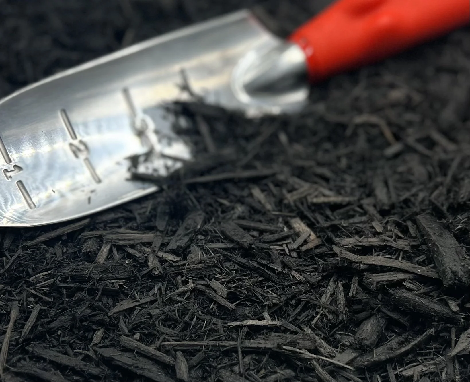 Black Mulch