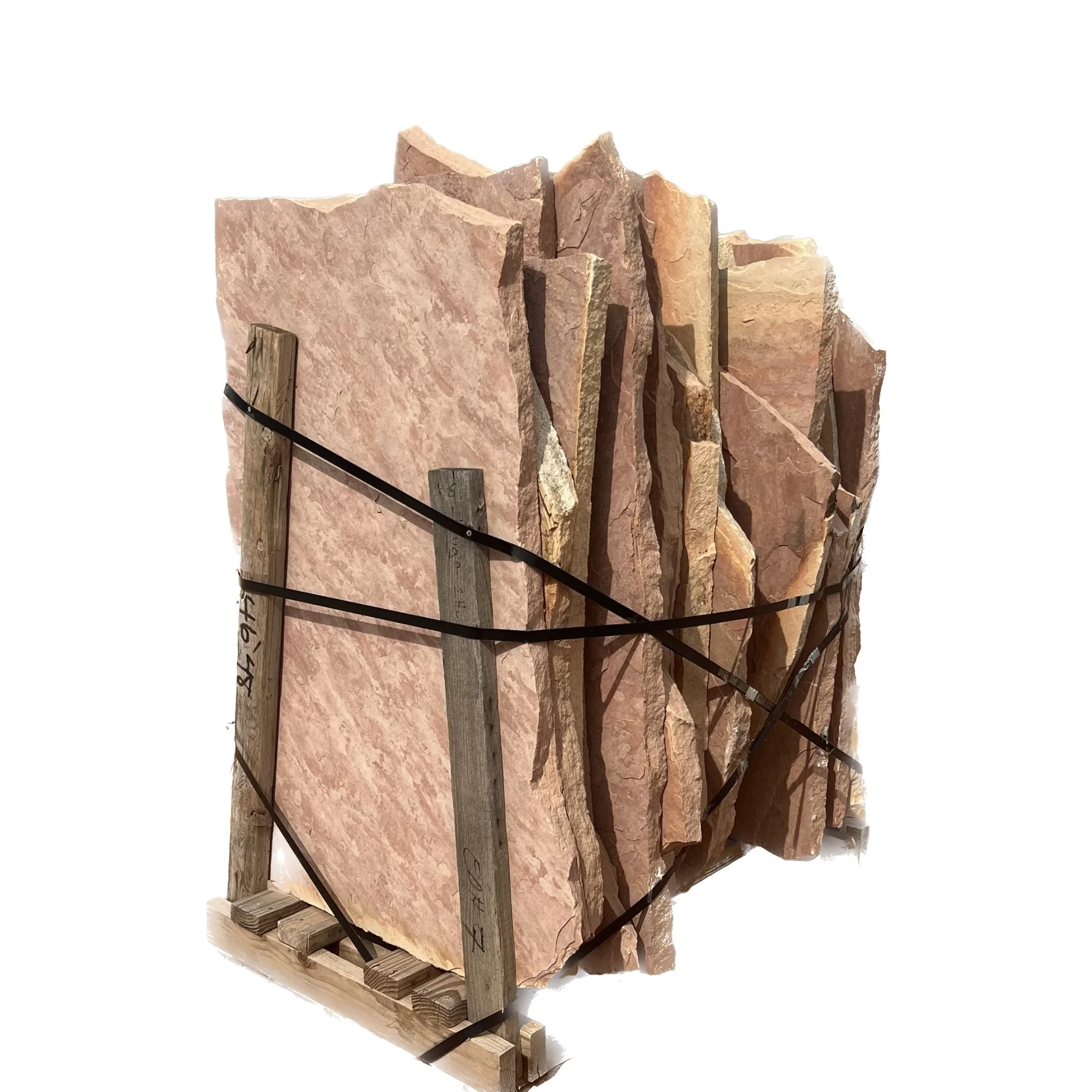 Rocky Mountain Rose Stand-Up