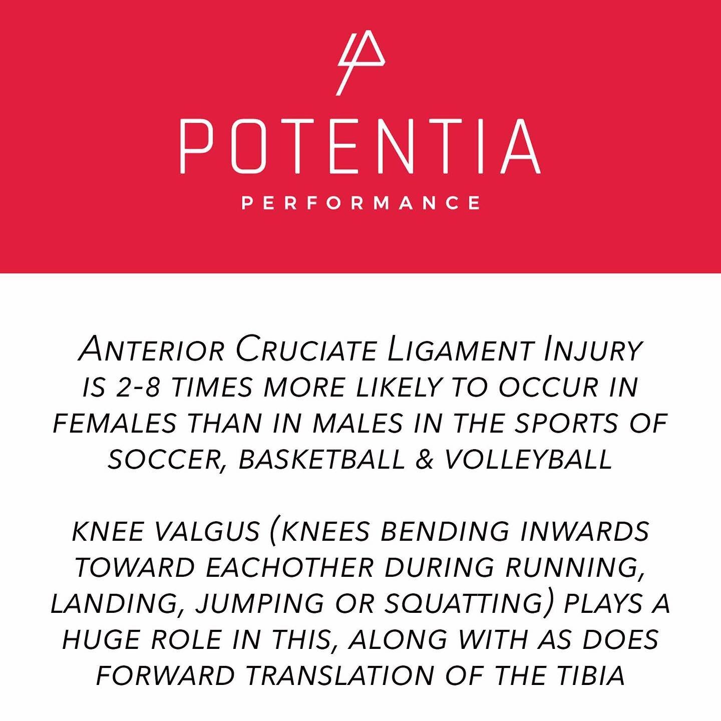 Female athletes, in particular female footballers must focus heavily on knee stability. ⁠
So a lot of eccentric work on the quad and hamstring and plenty of isometric Glute and hamstring. ⁠
⁠
Looking after your knees will save your career. ⁠
⁠
#Poten