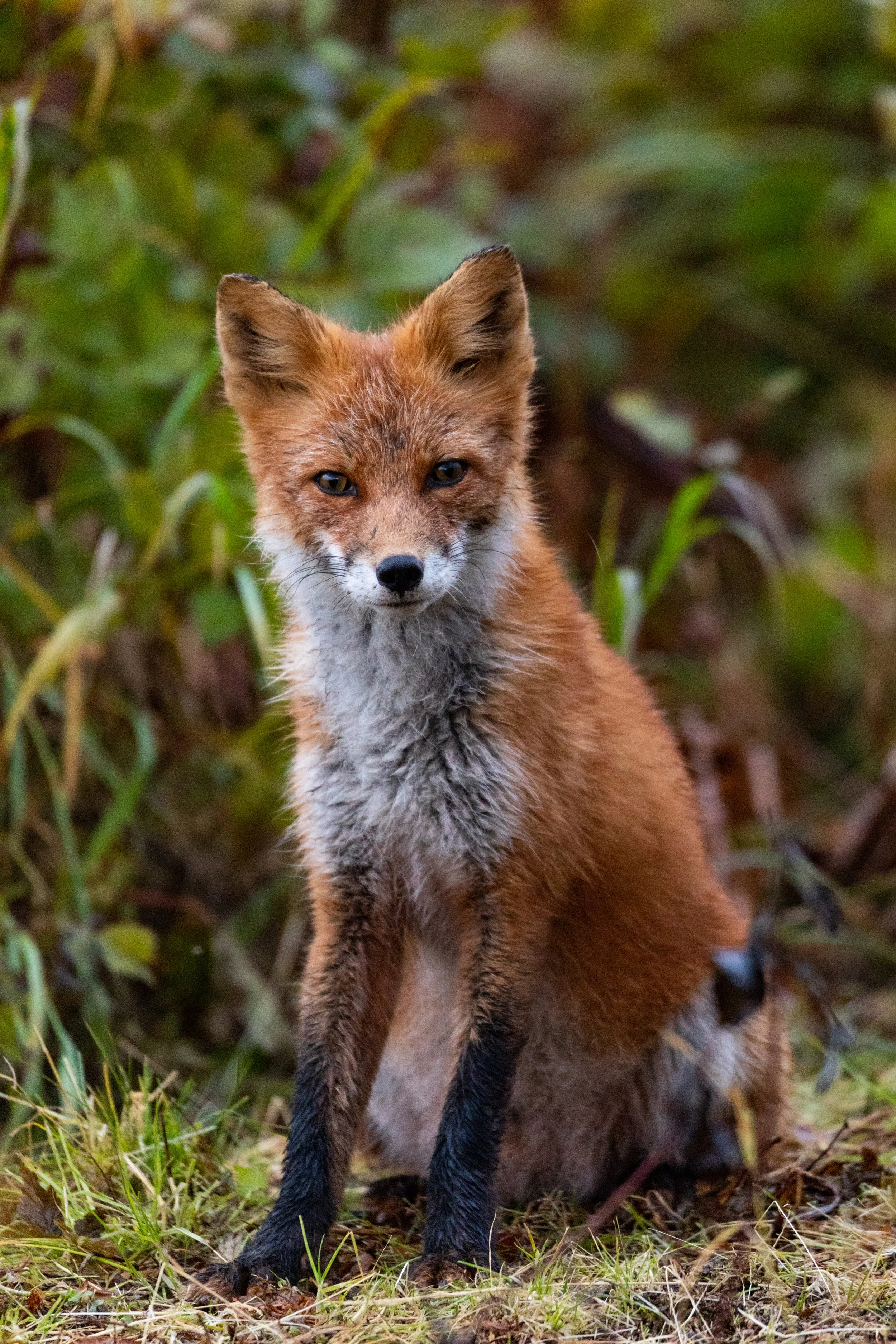 Wesley G. White-4078.jpg