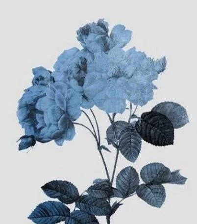 Faded Denim Flowers