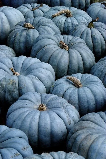 Blue Pumkins