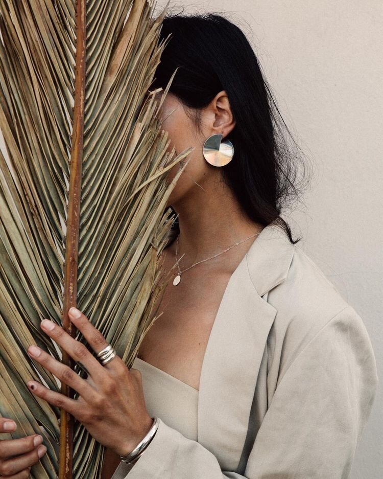 Dry Palm Leaves