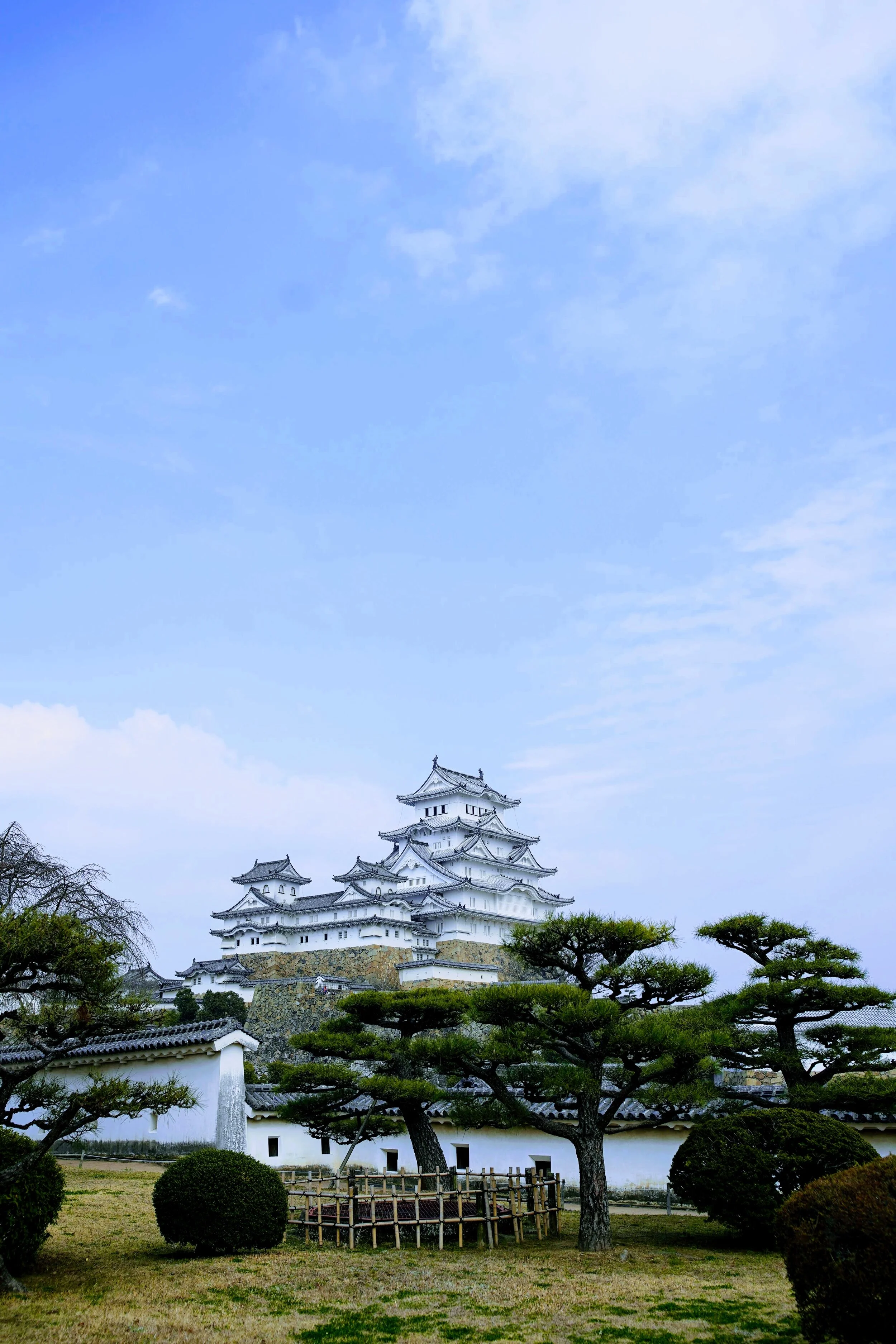 DSC02516-EFFECTS.jpg