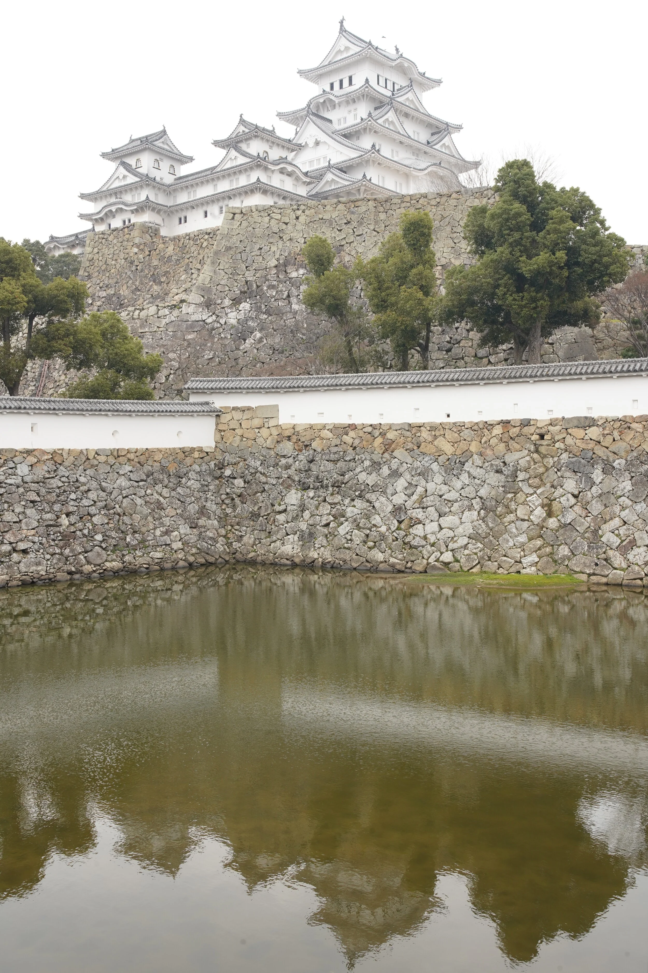 DSC02373.jpg